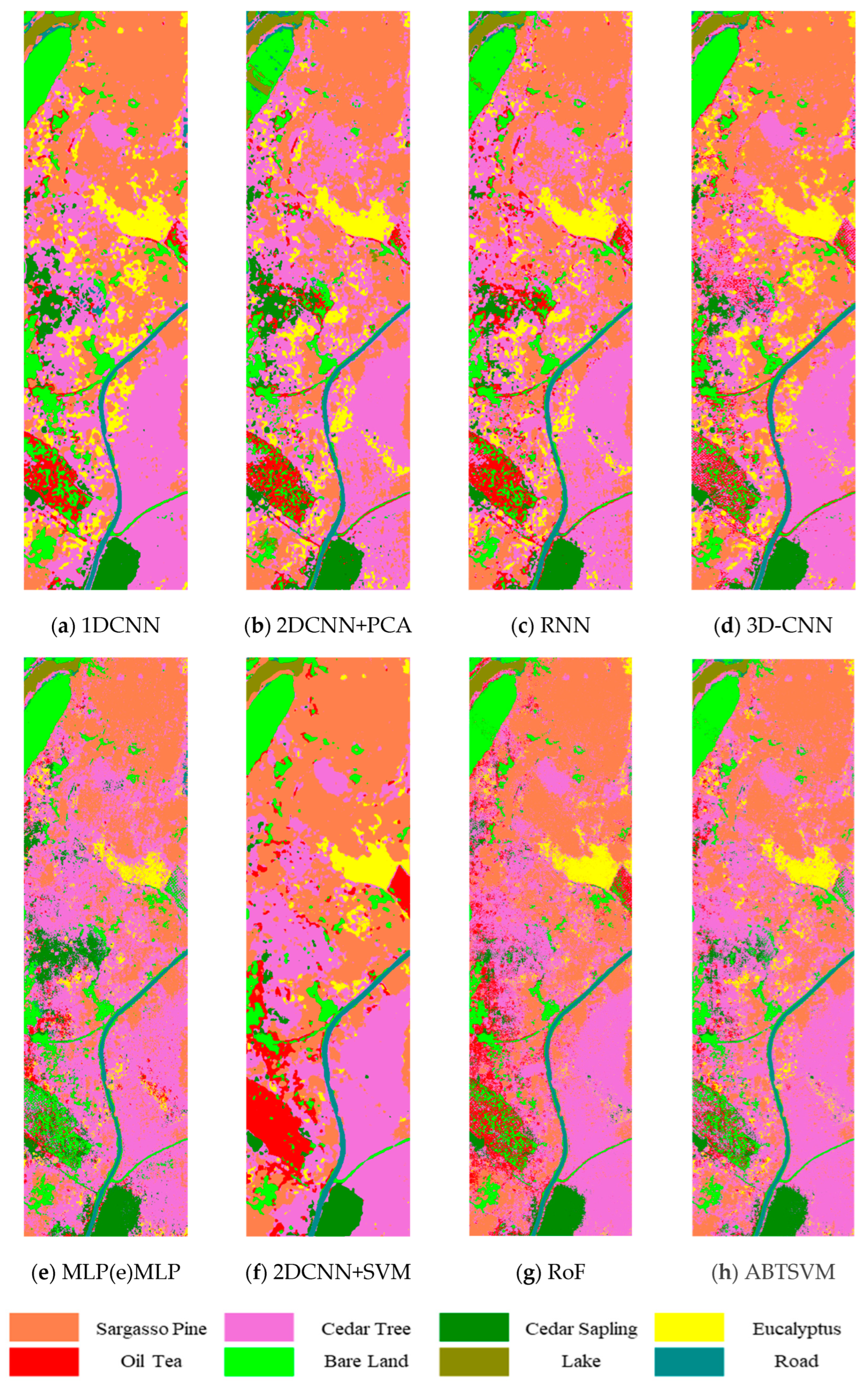 Forests 16 01032 g010