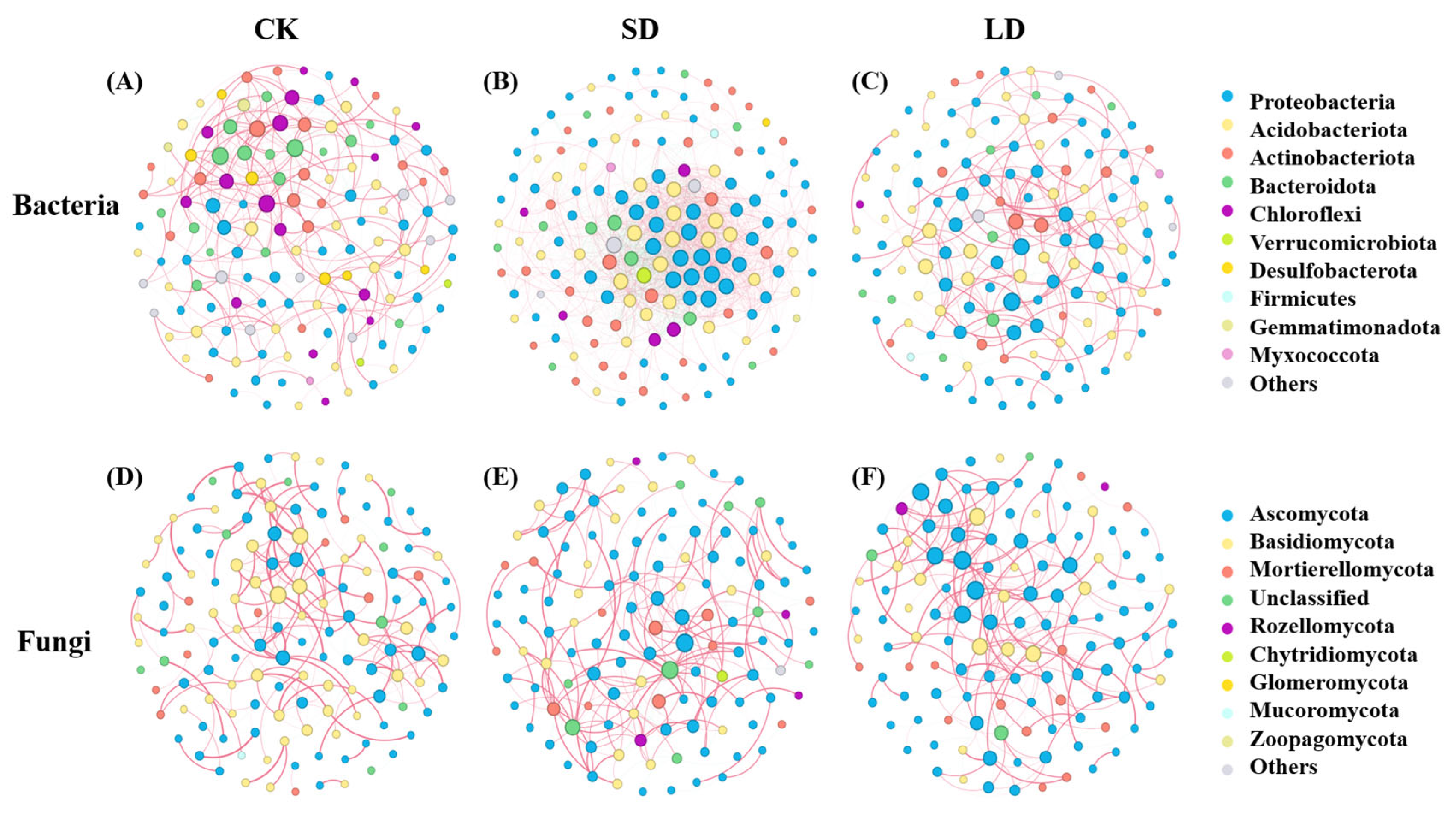 Forests 16 01038 g005