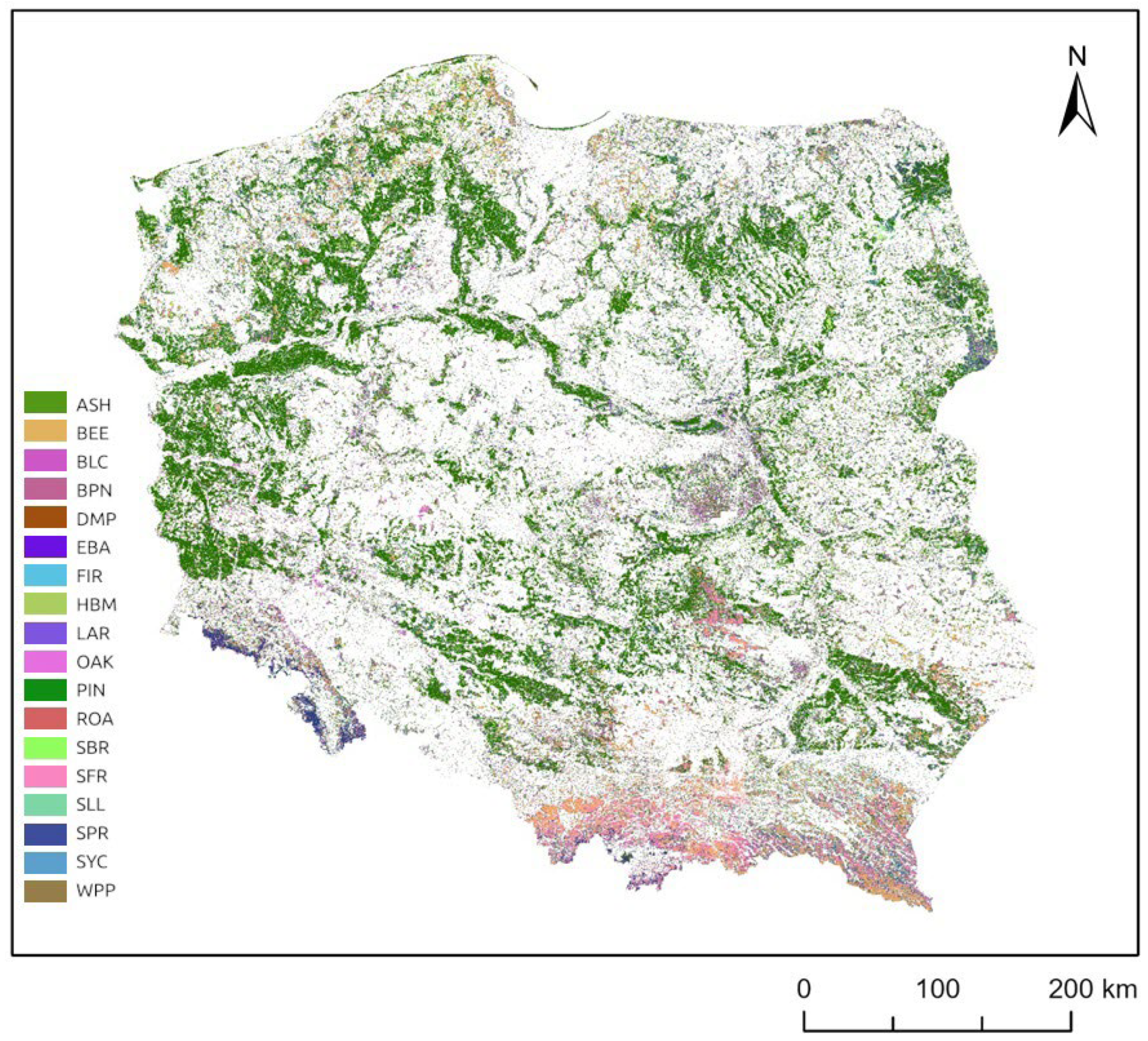 Forests 16 01039 g008