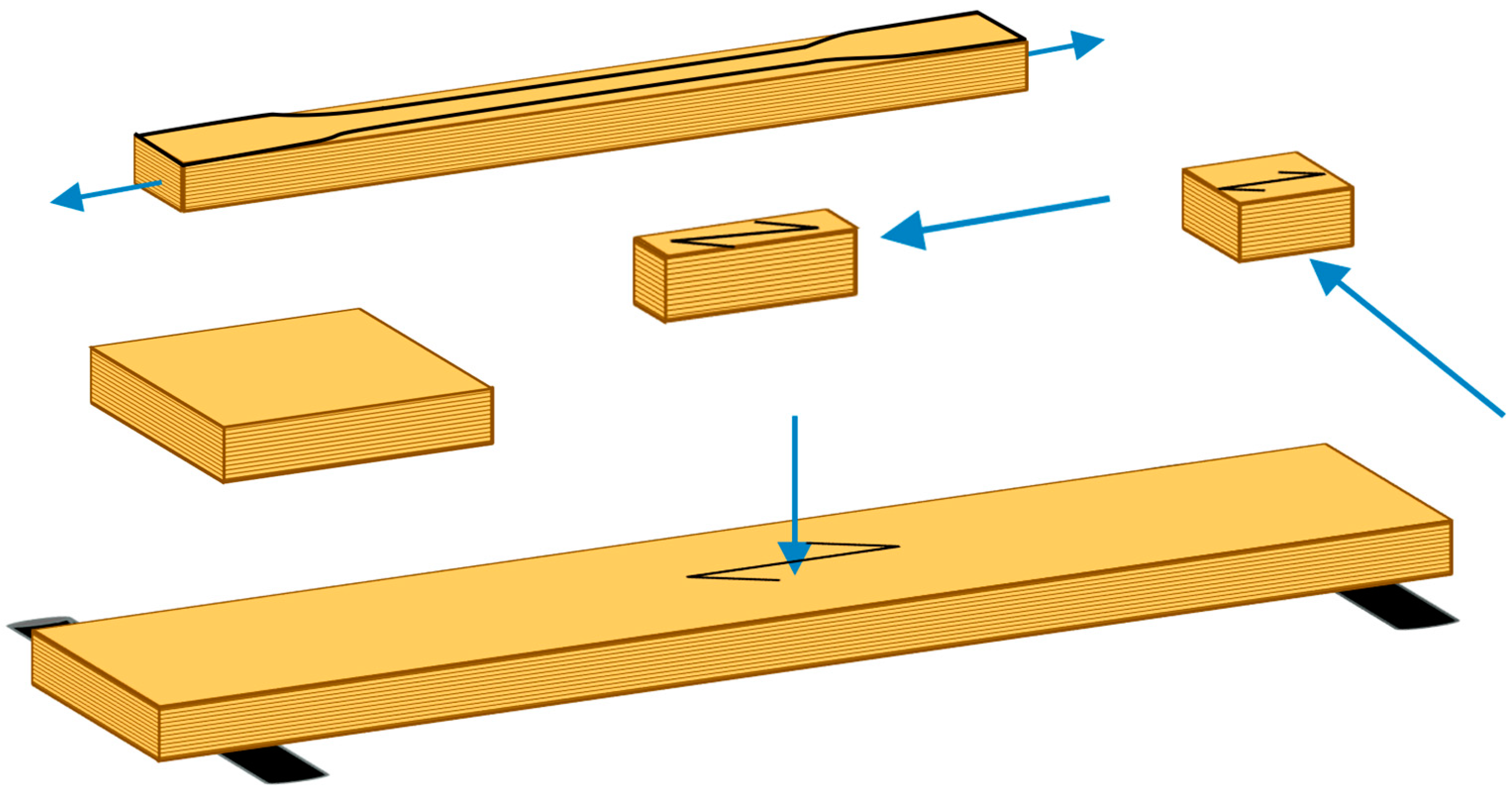 Forests 16 01040 g002