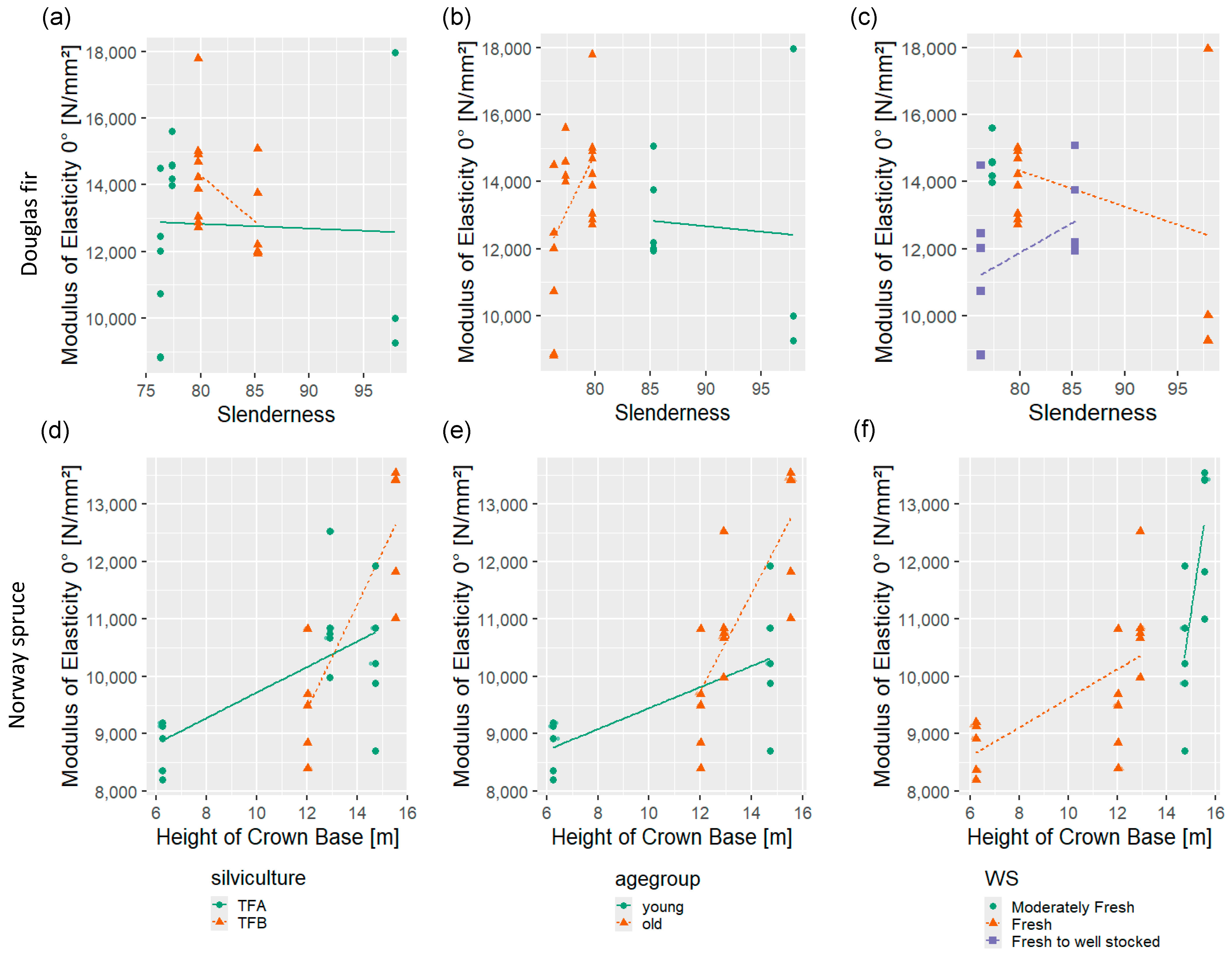 Forests 16 01040 g007