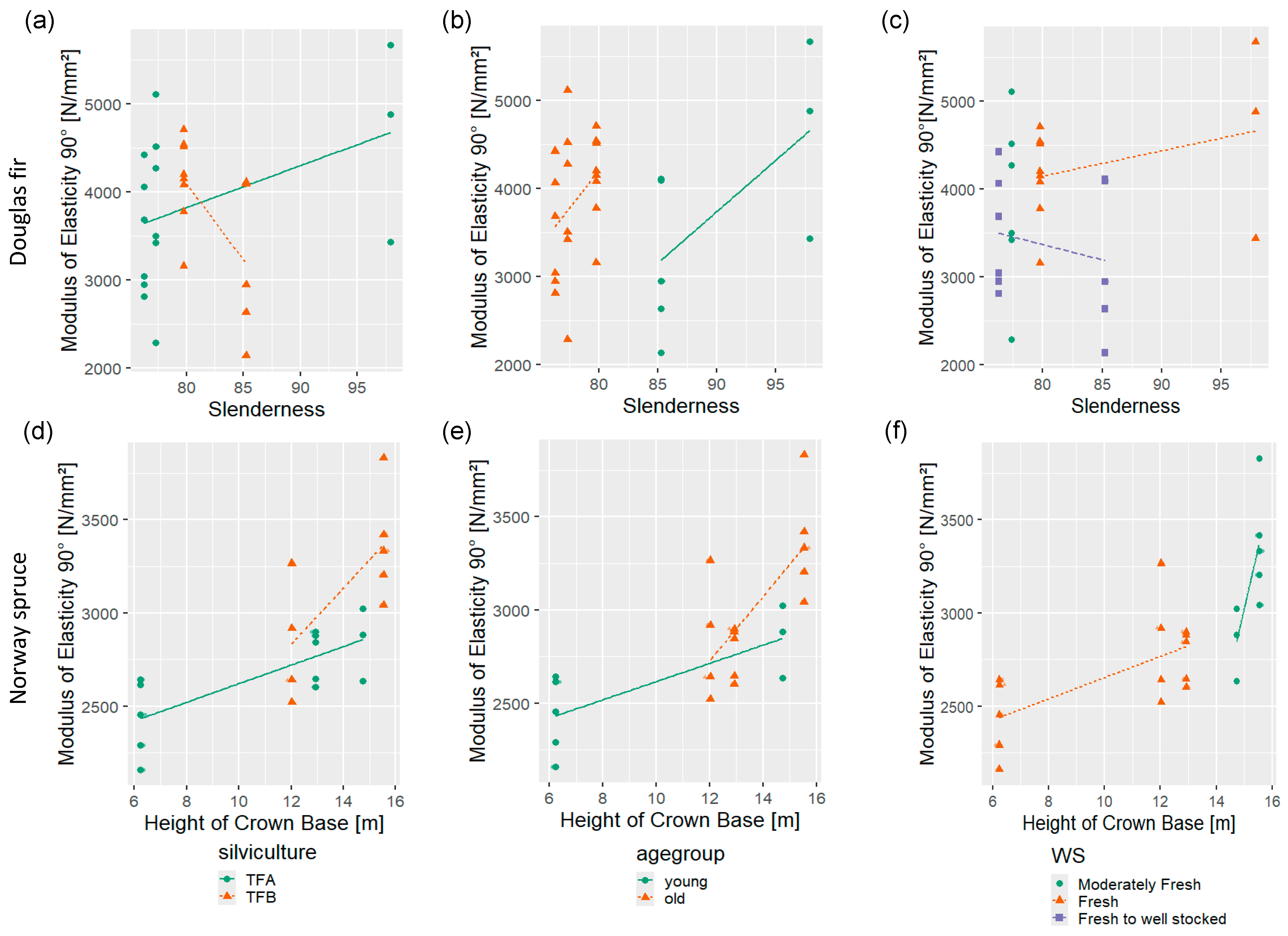 Forests 16 01040 g008