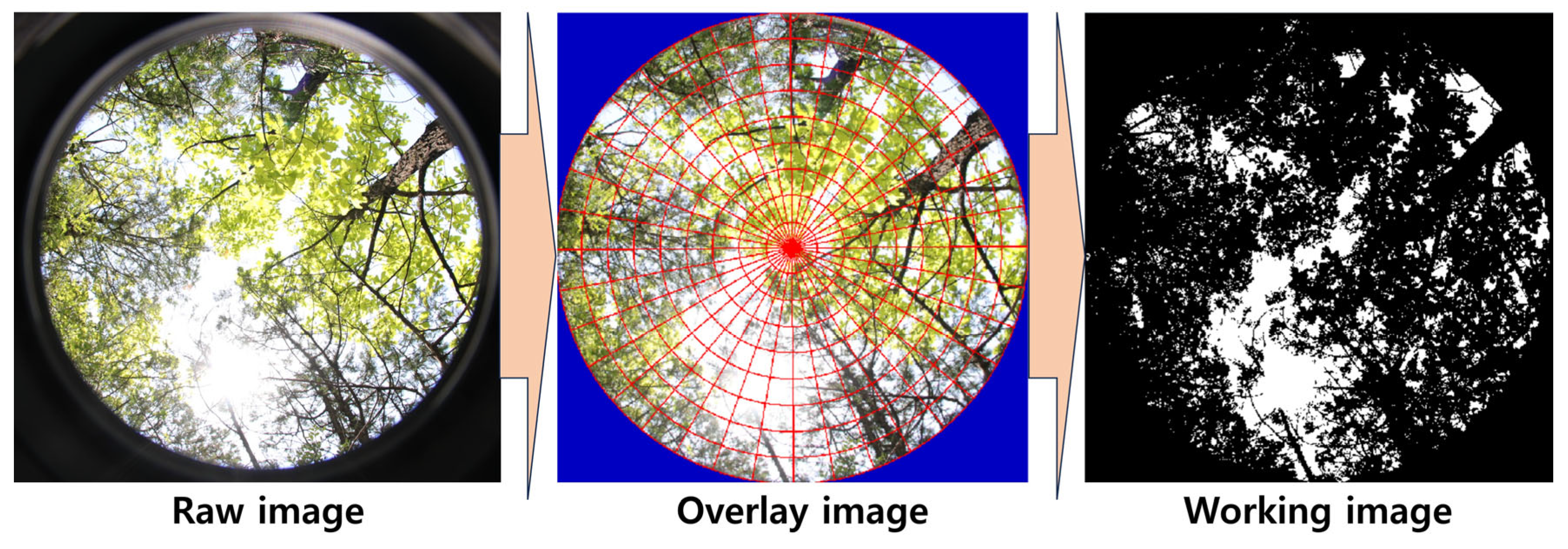 Forests 16 01042 g002