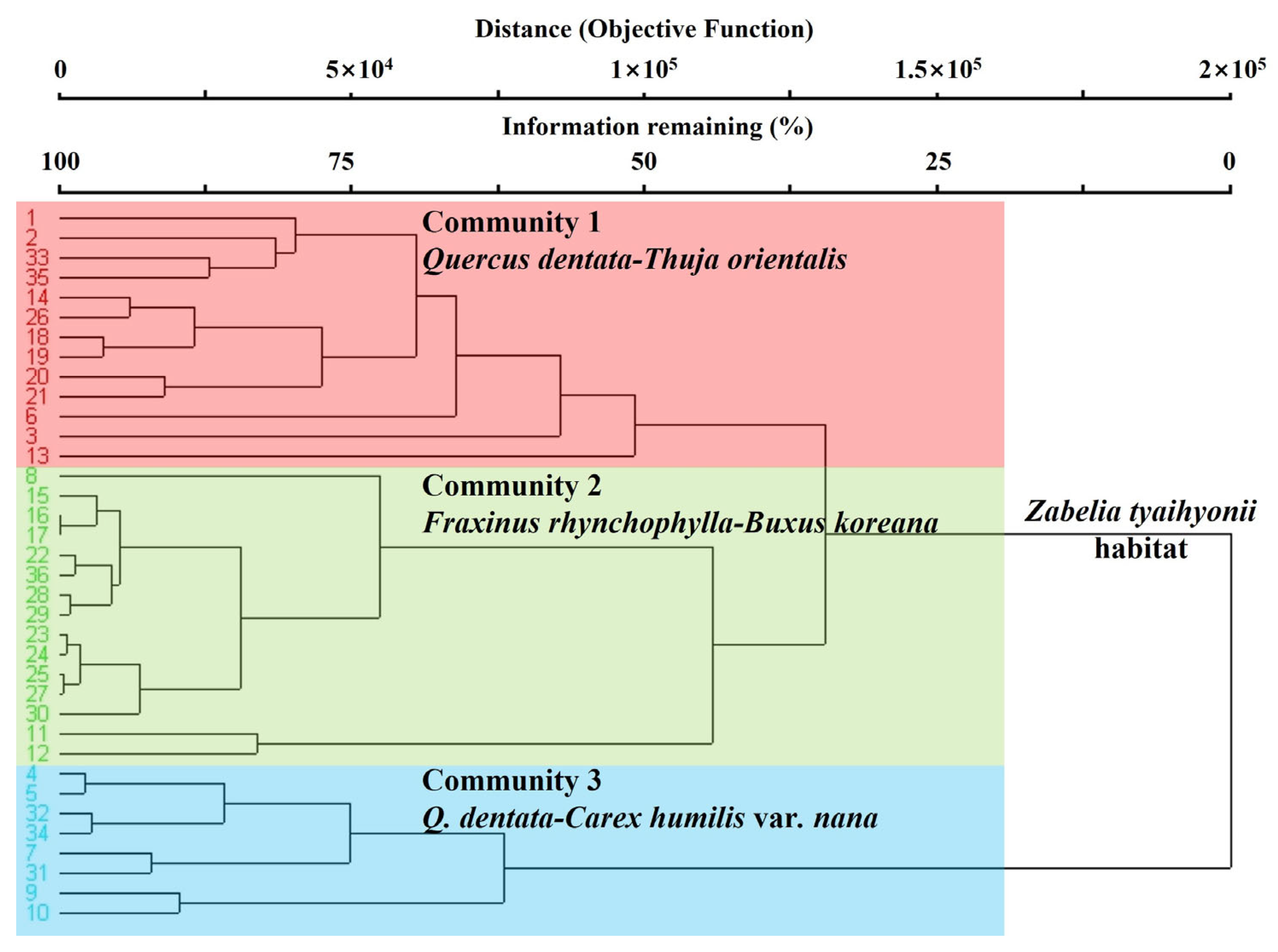 Forests 16 01042 g007