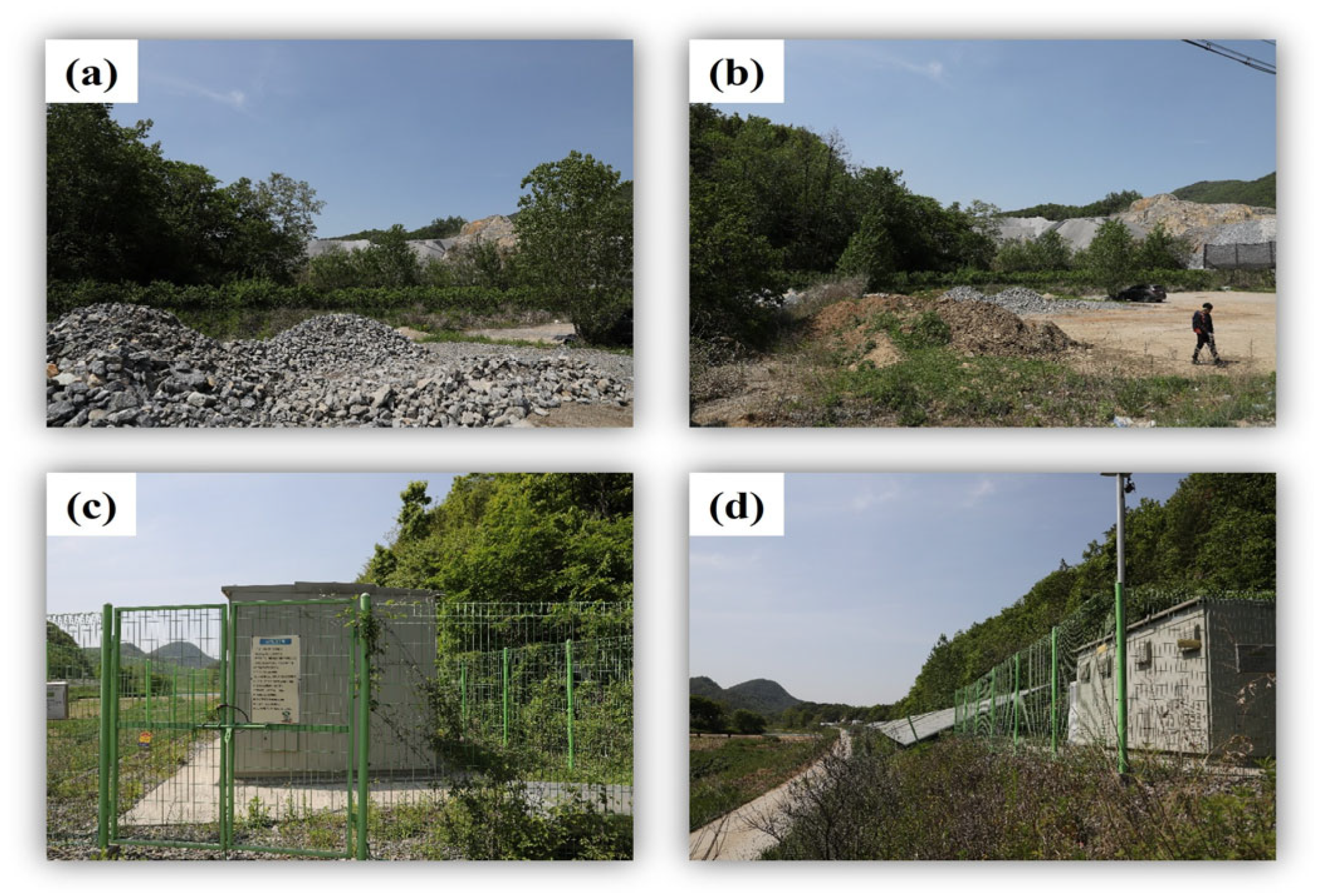 Forests 16 01042 g010