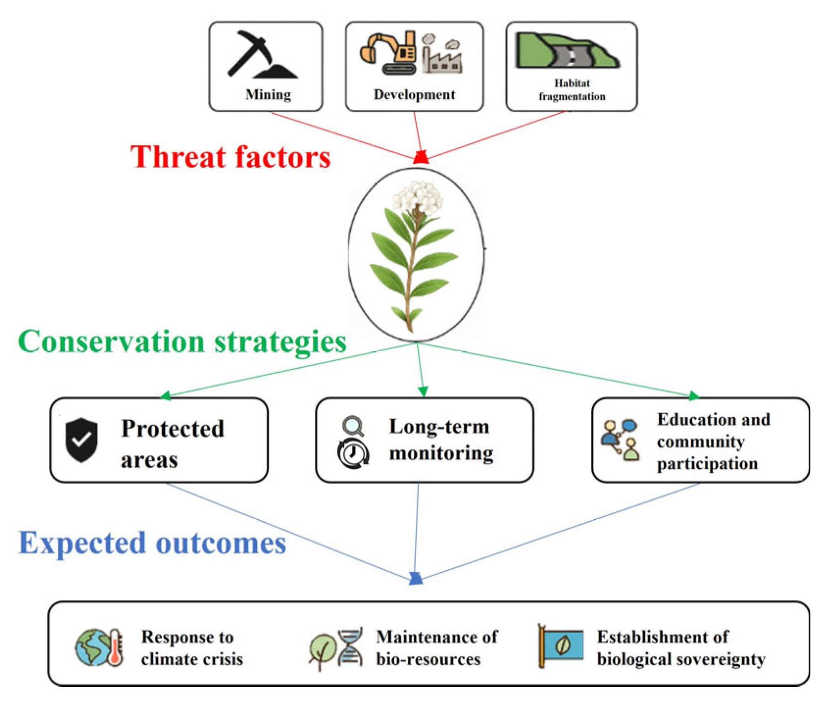 Forests 16 01042 g012