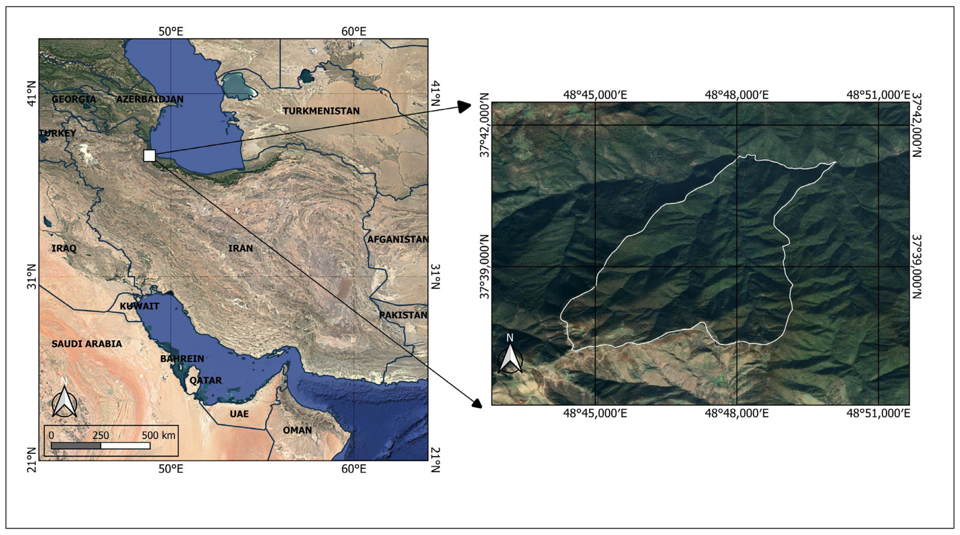 Forests 16 01044 g001