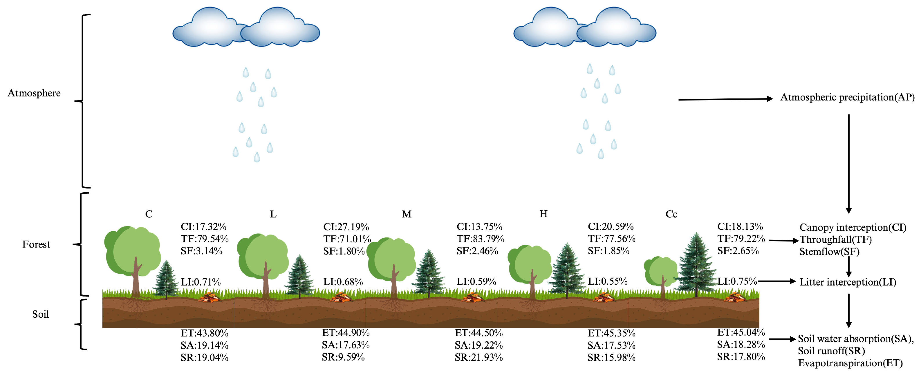 Forests 16 01050 g005