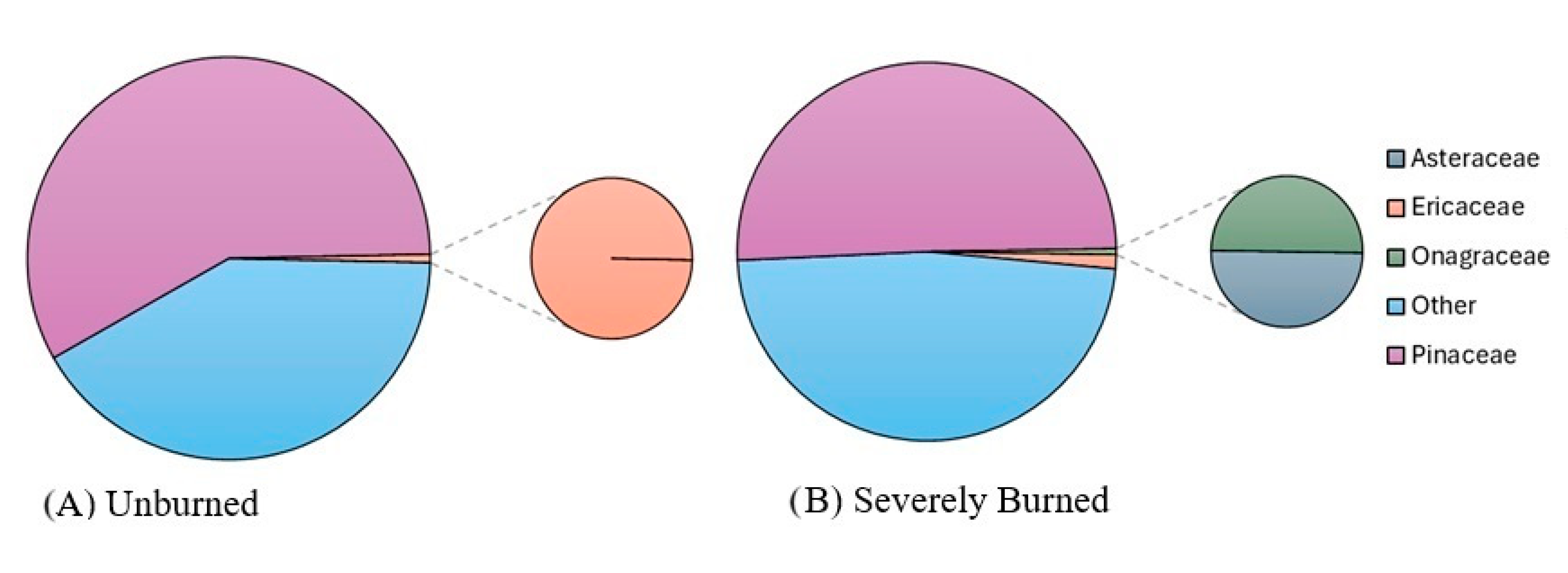 Forests 16 01051 g005
