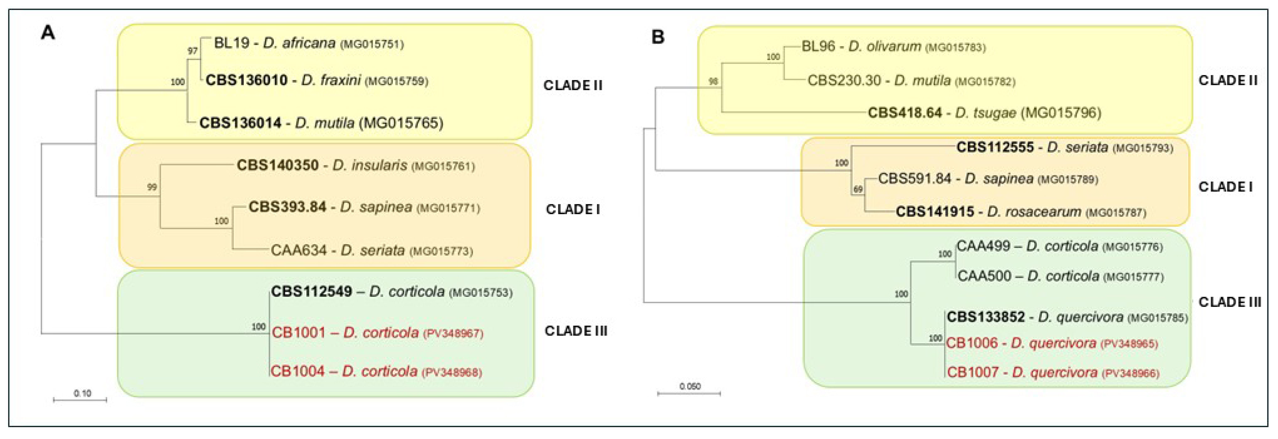 Forests 16 01052 g003
