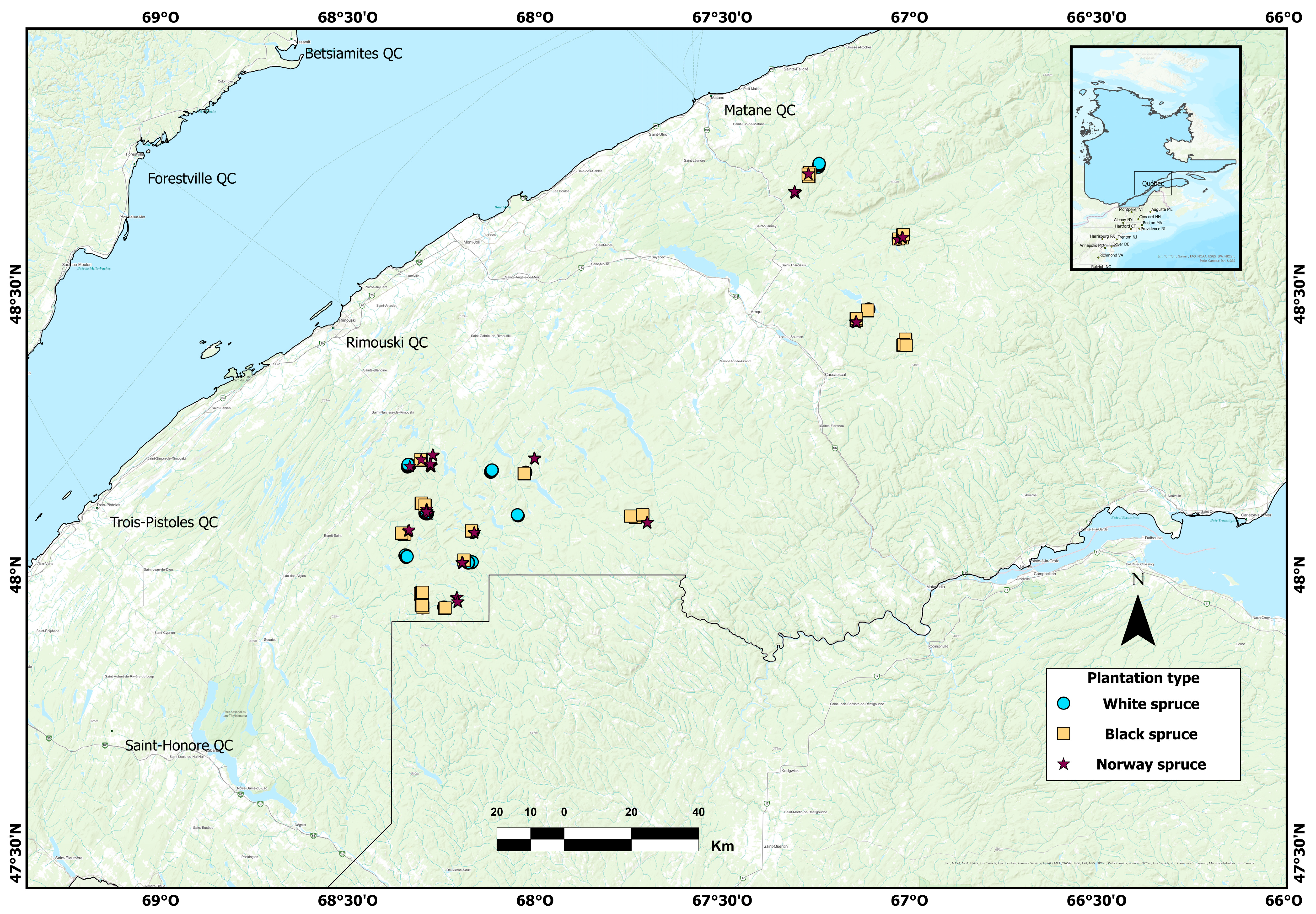 Forests 16 01056 g001 Forests 16 01056 g001