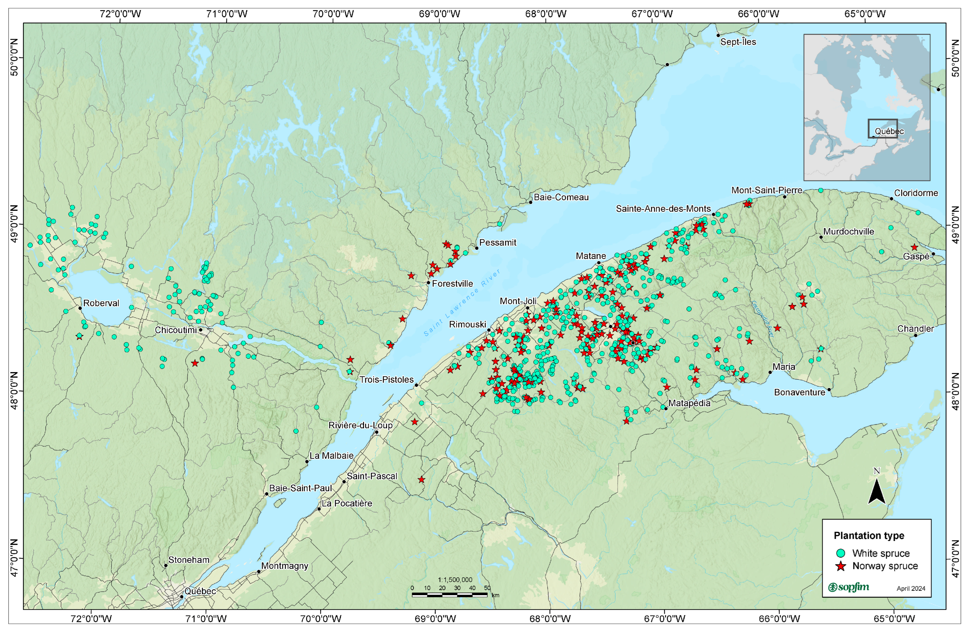 Forests 16 01056 g002 Forests 16 01056 g002