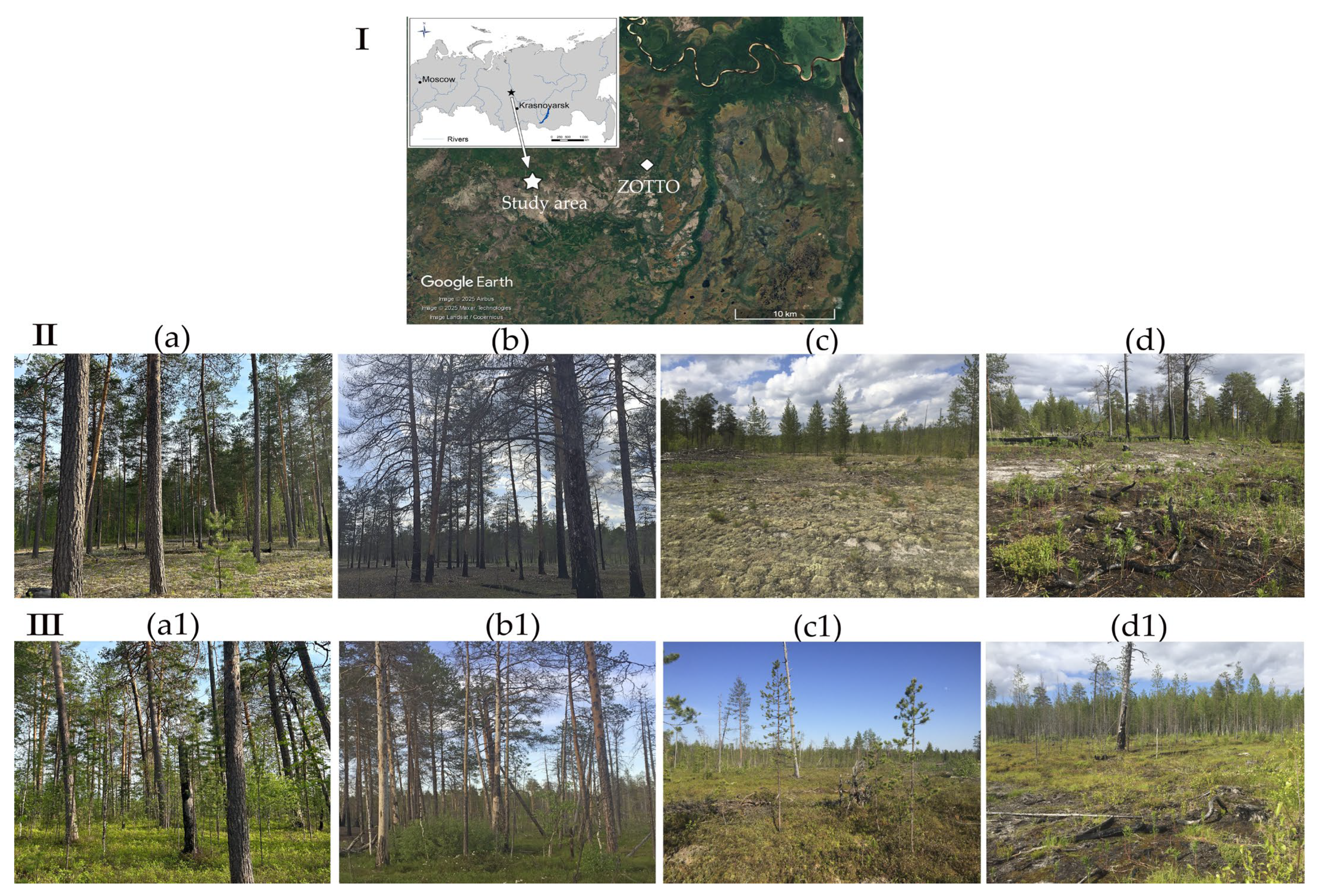 Forests 16 01057 g002 Forests 16 01057 g002