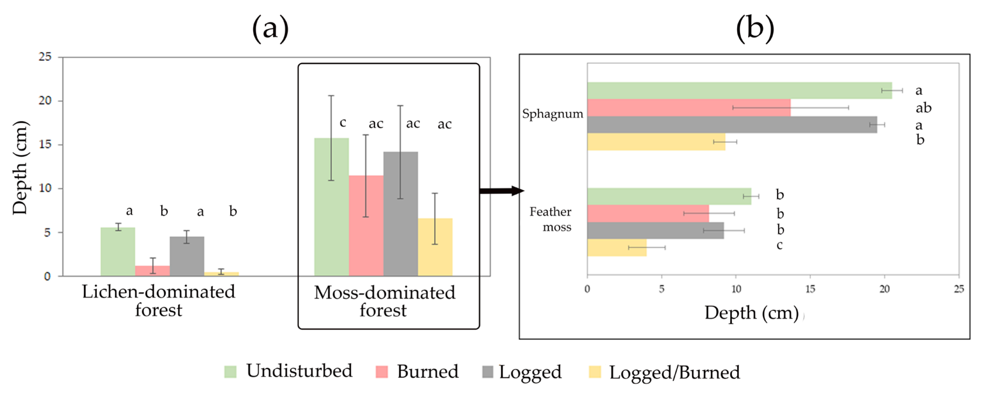Forests 16 01057 g004 Forests 16 01057 g004