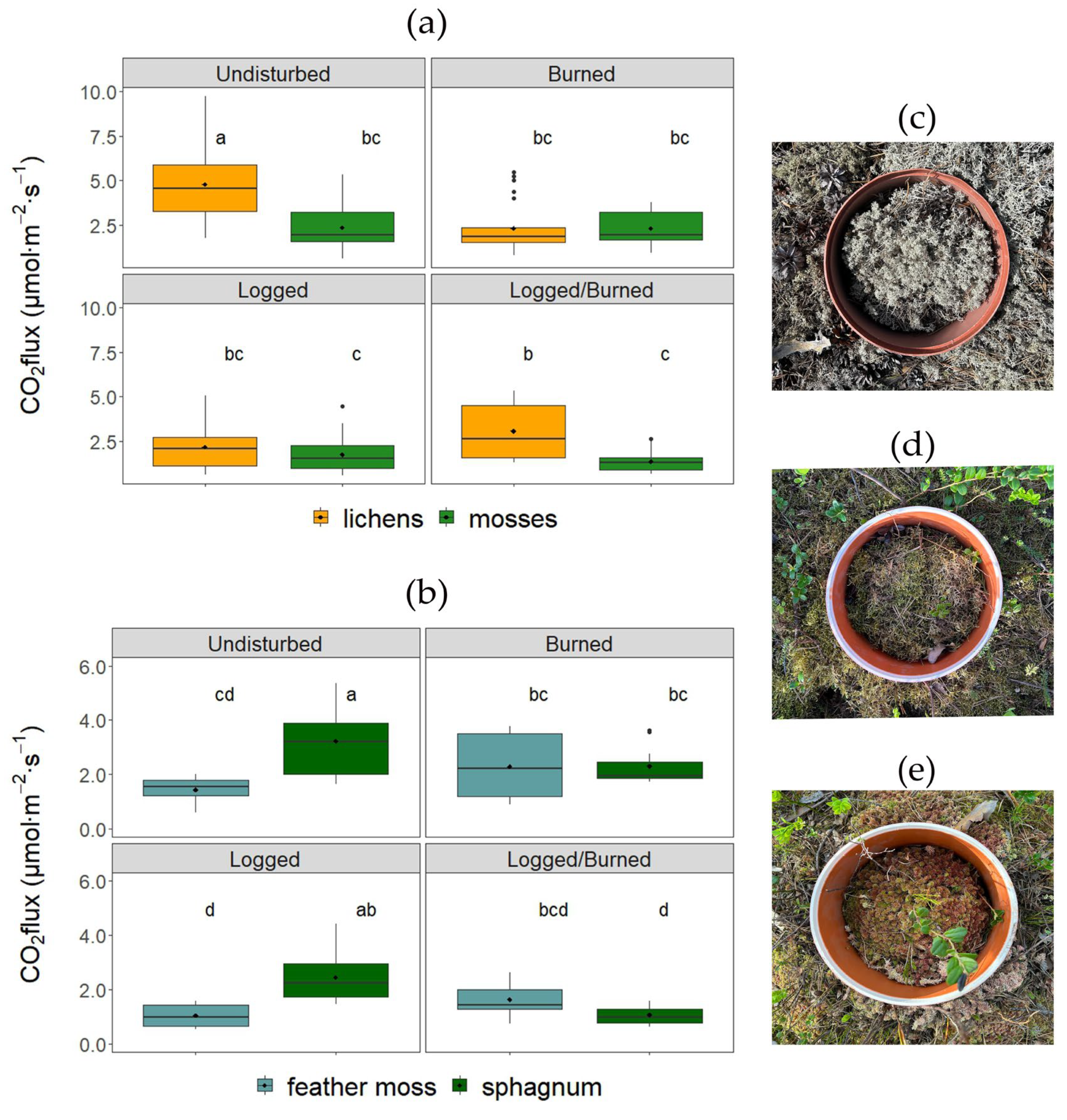 Forests 16 01057 g005 Forests 16 01057 g005