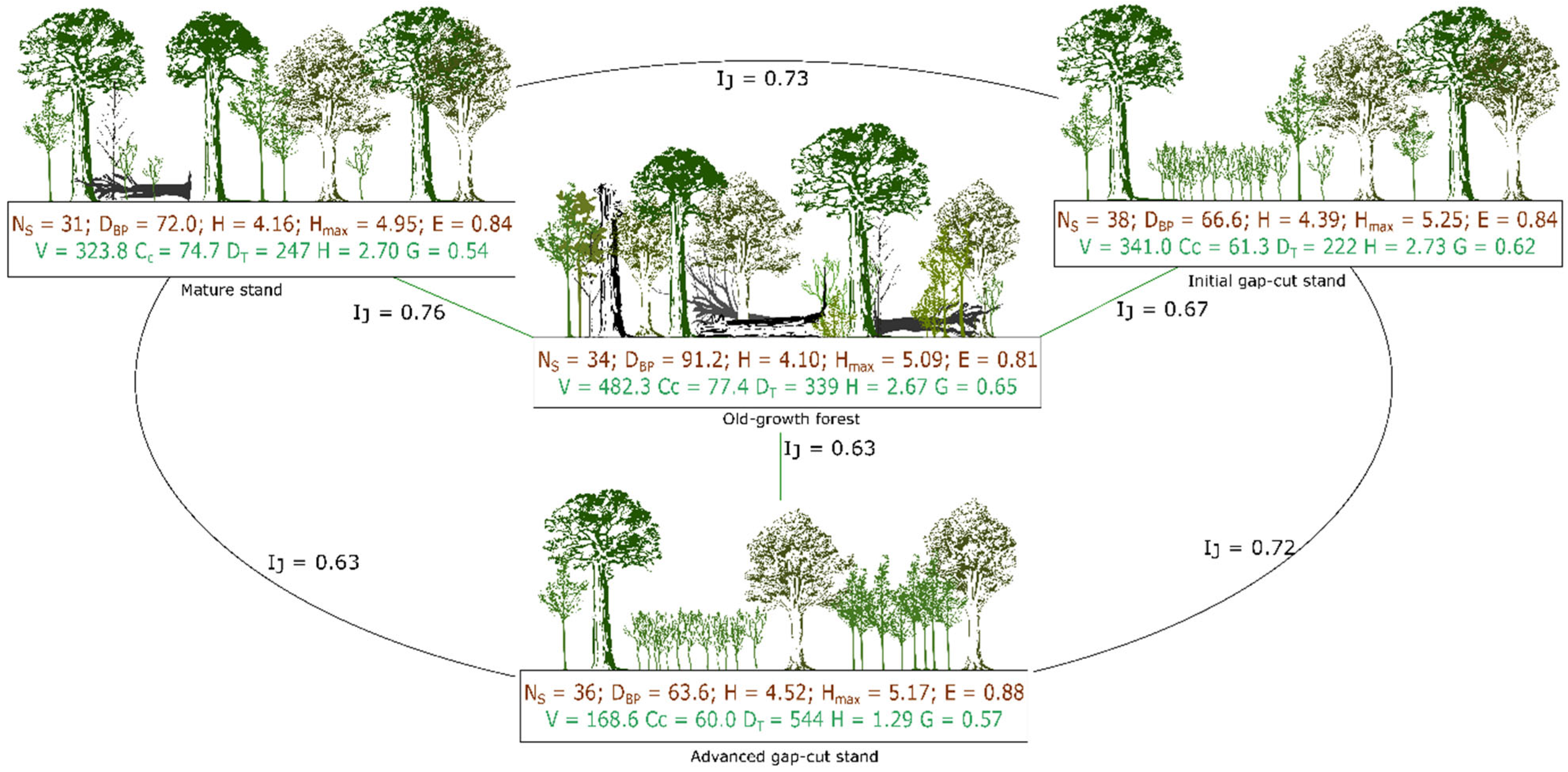 Forests 16 01060 g002 Forests 16 01060 g002