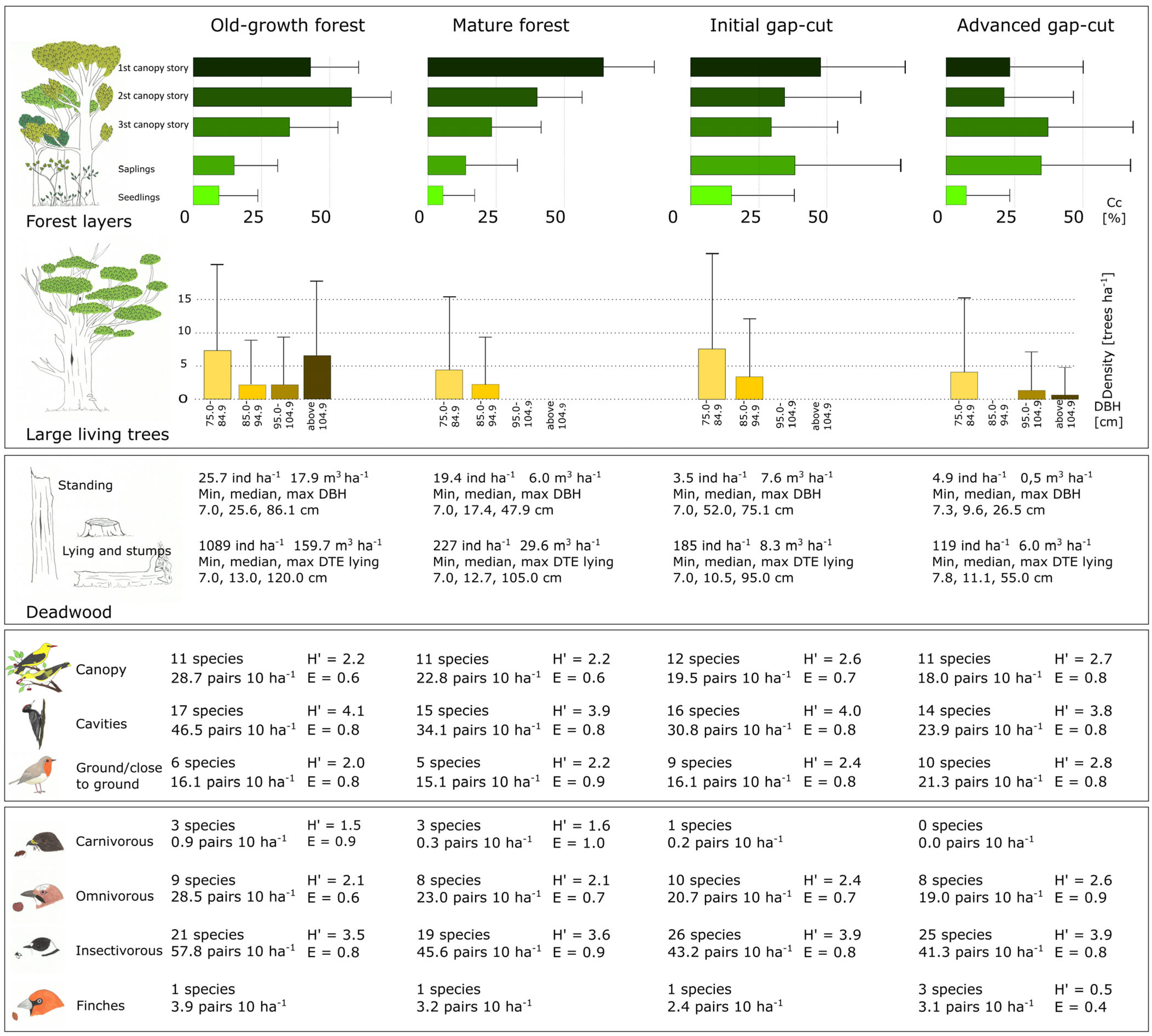 Forests 16 01060 g003 Forests 16 01060 g003
