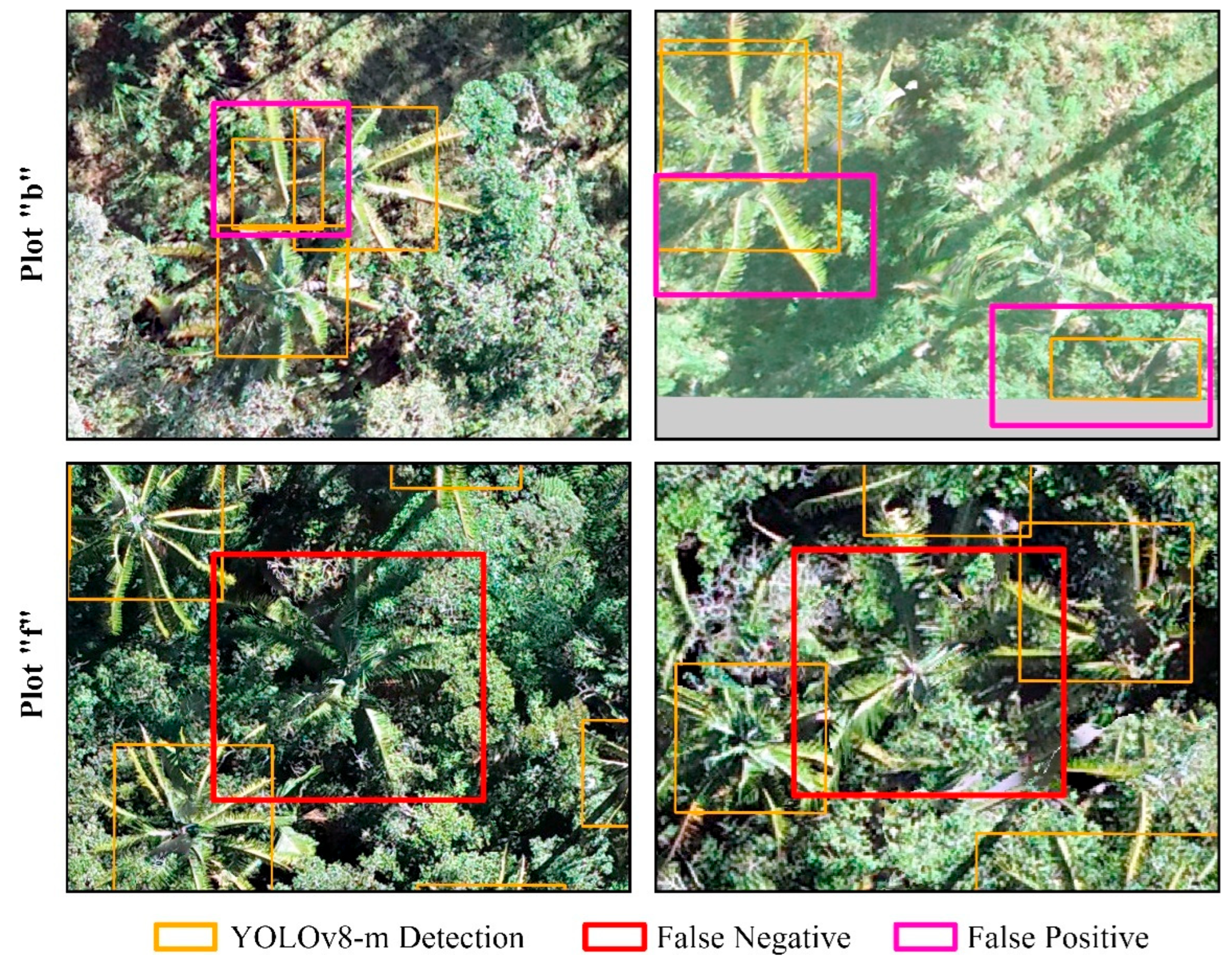 Forests 16 01061 g006