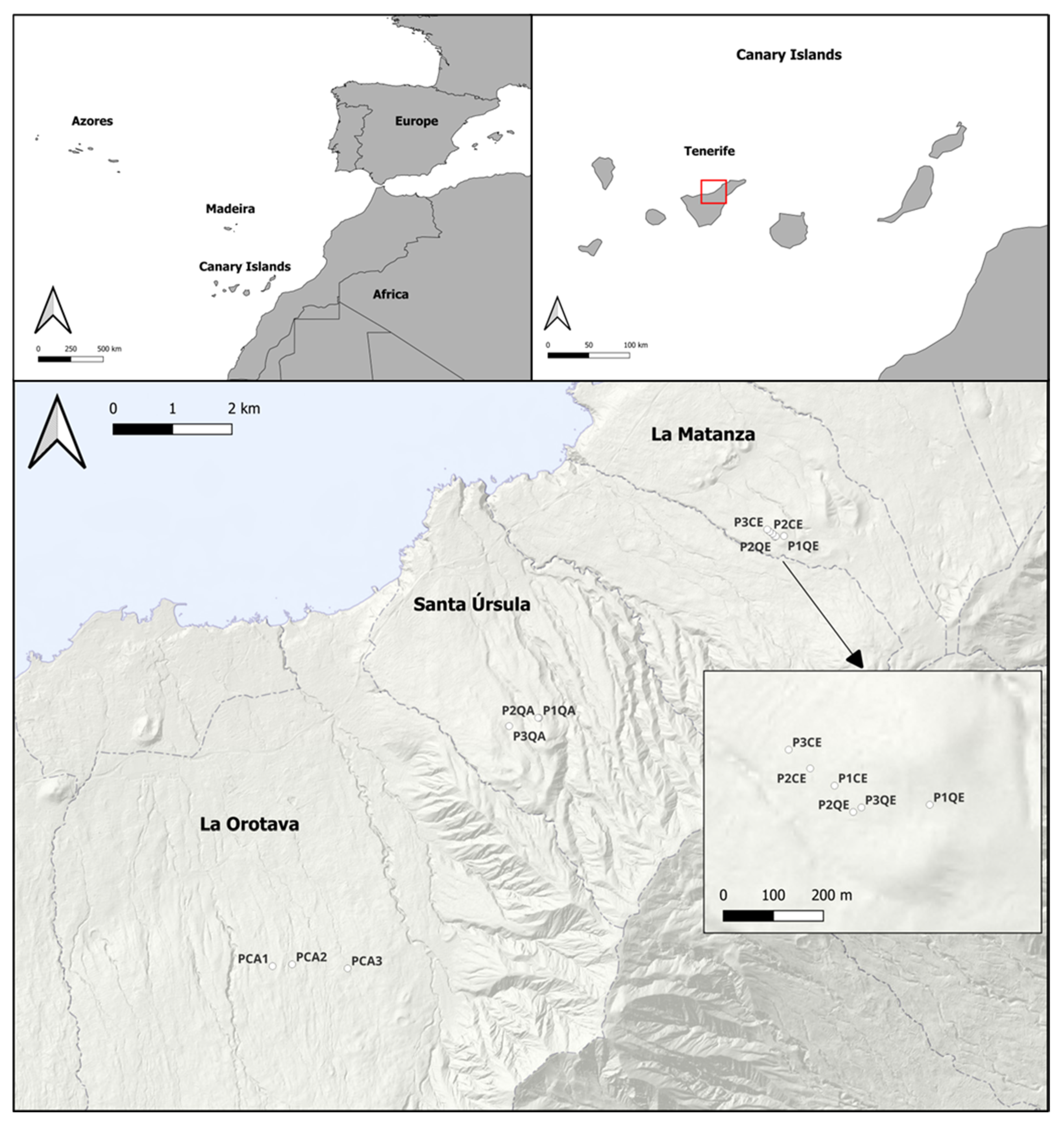 Forests 16 01062 g001