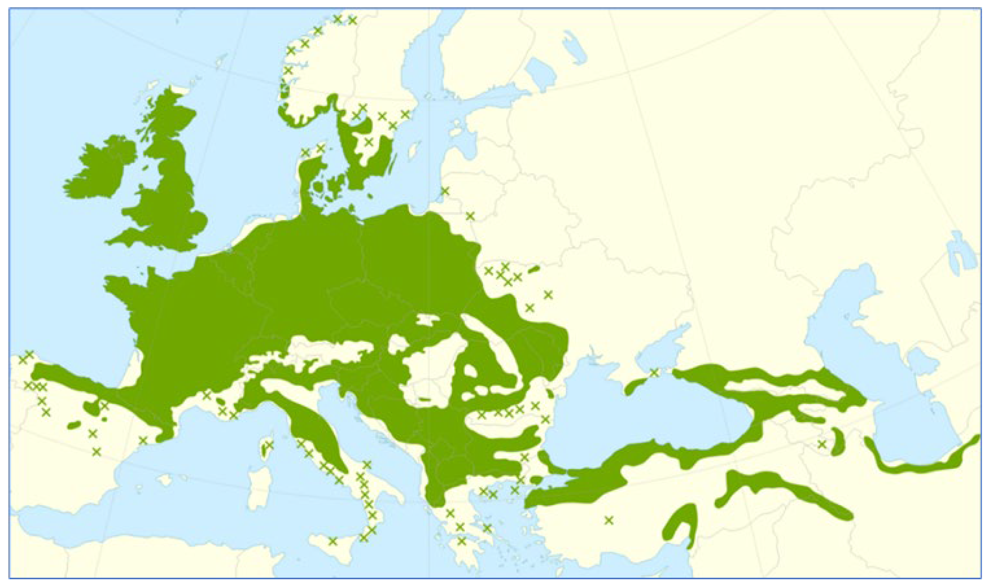 Forests 16 01063 g001