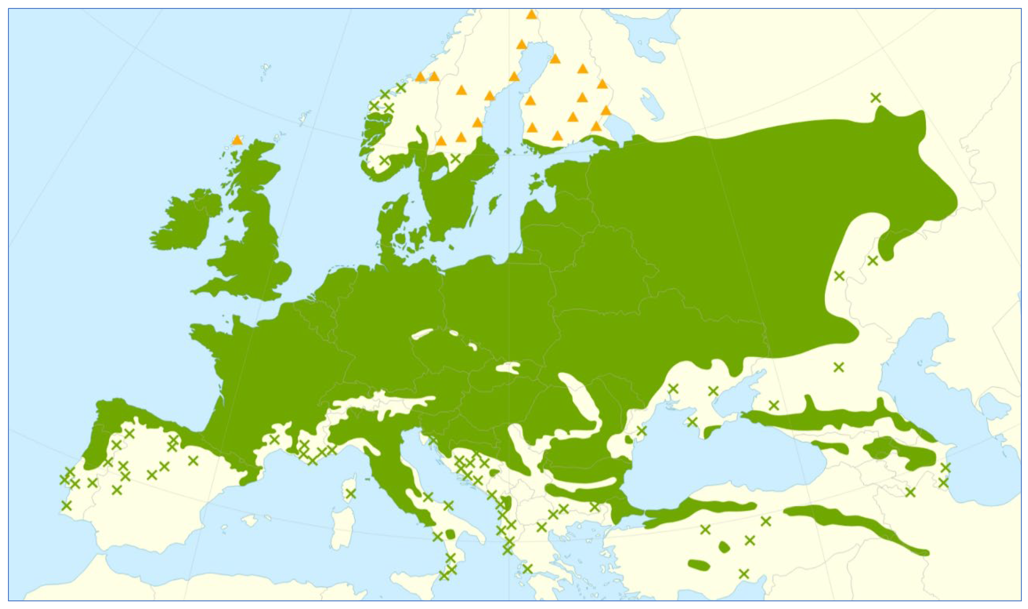 Forests 16 01063 g002