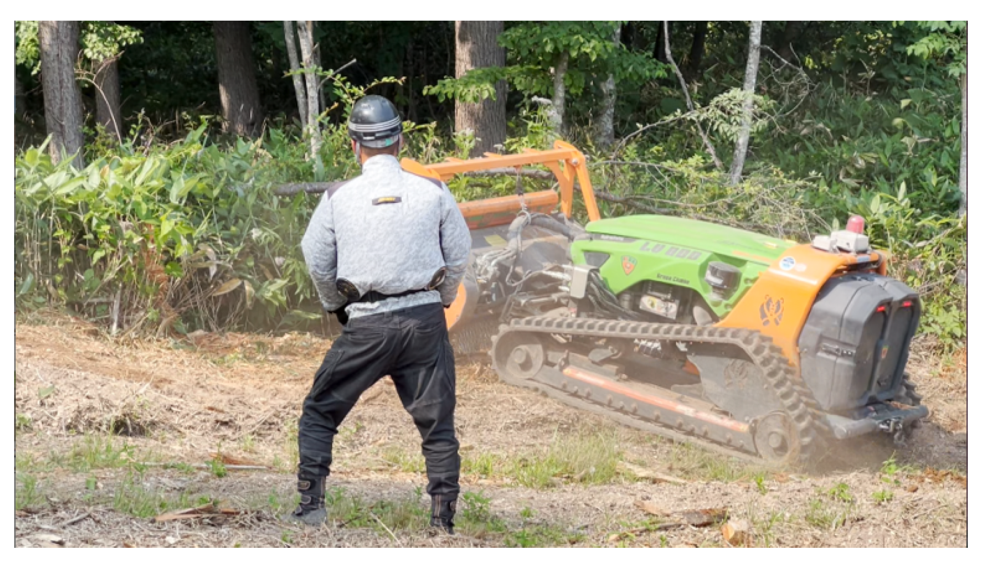 Forests 16 01067 g001