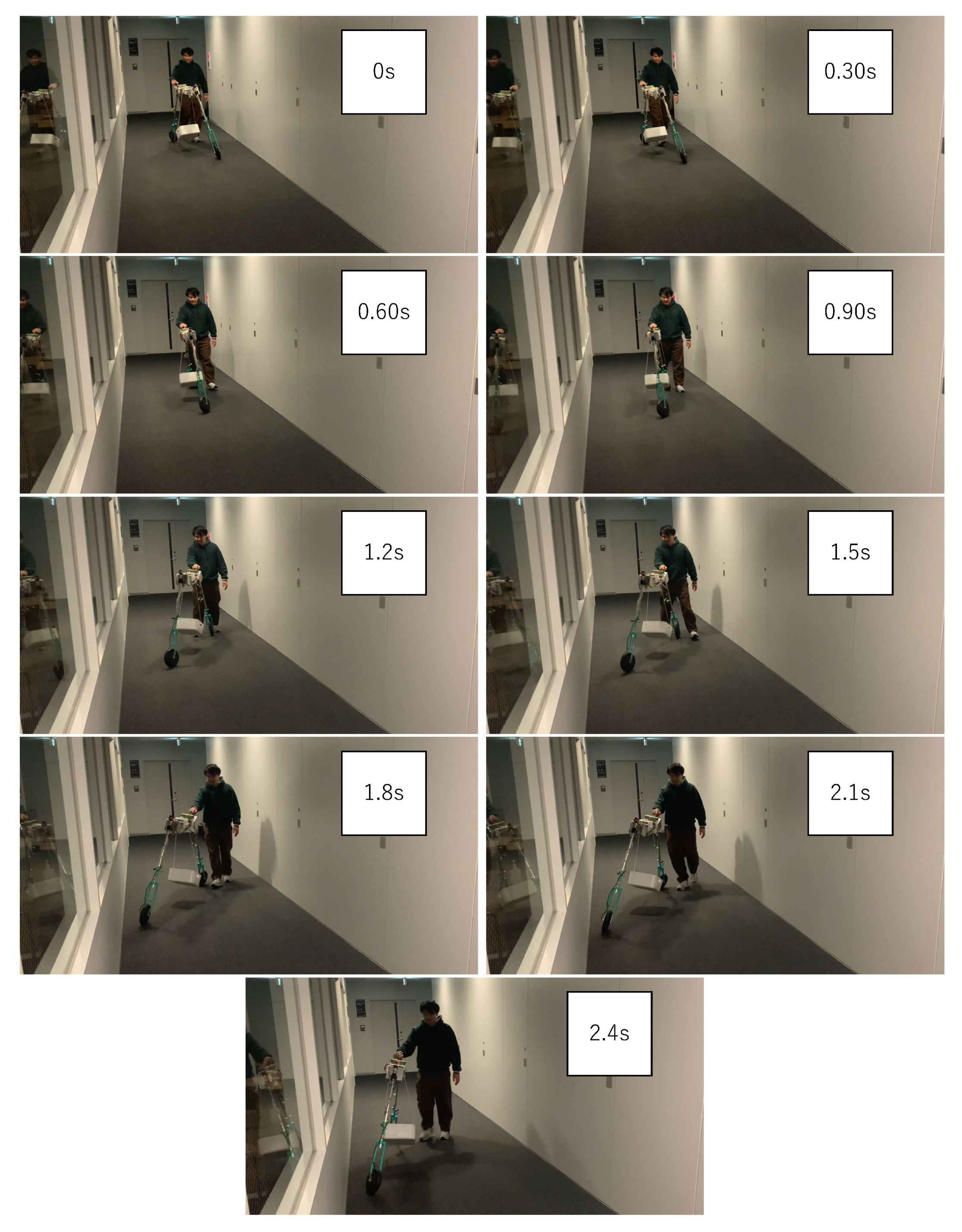 Forests 16 01067 g014