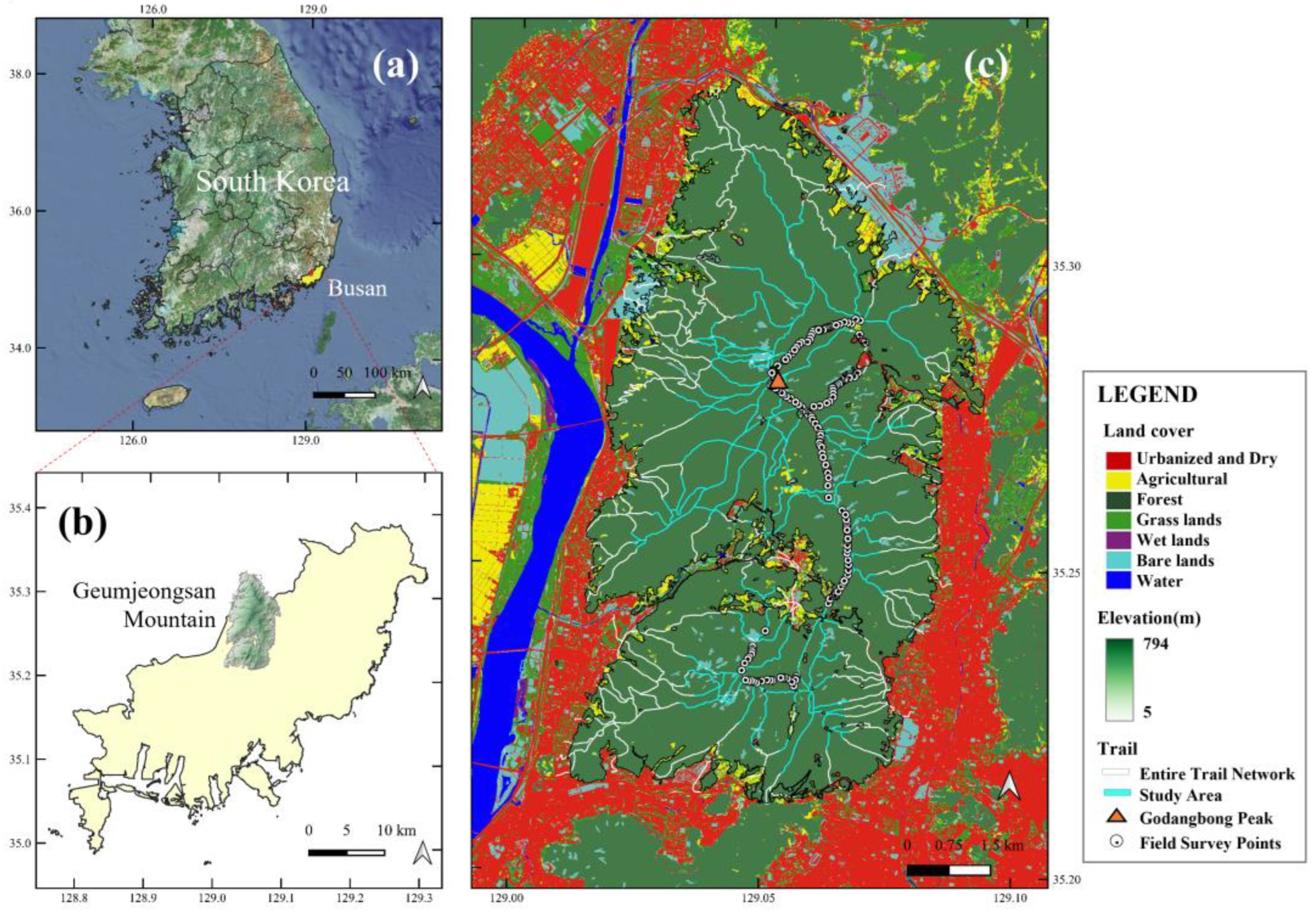 Forests 16 01074 g001