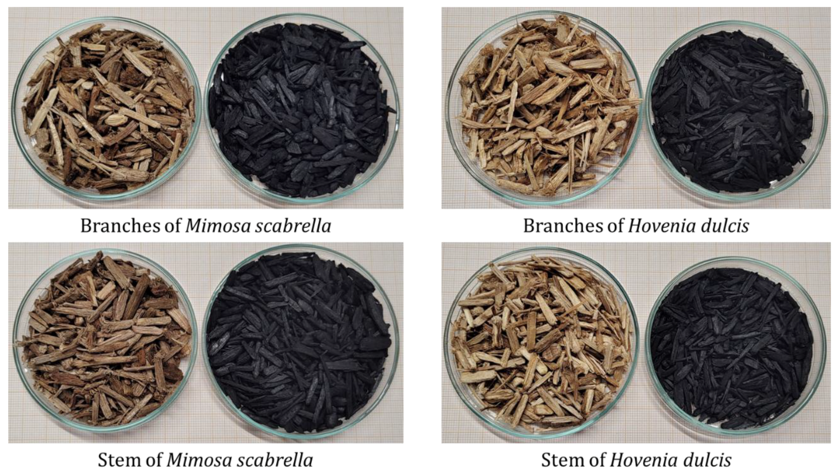 Forests 16 01077 g002 Forests 16 01077 g002