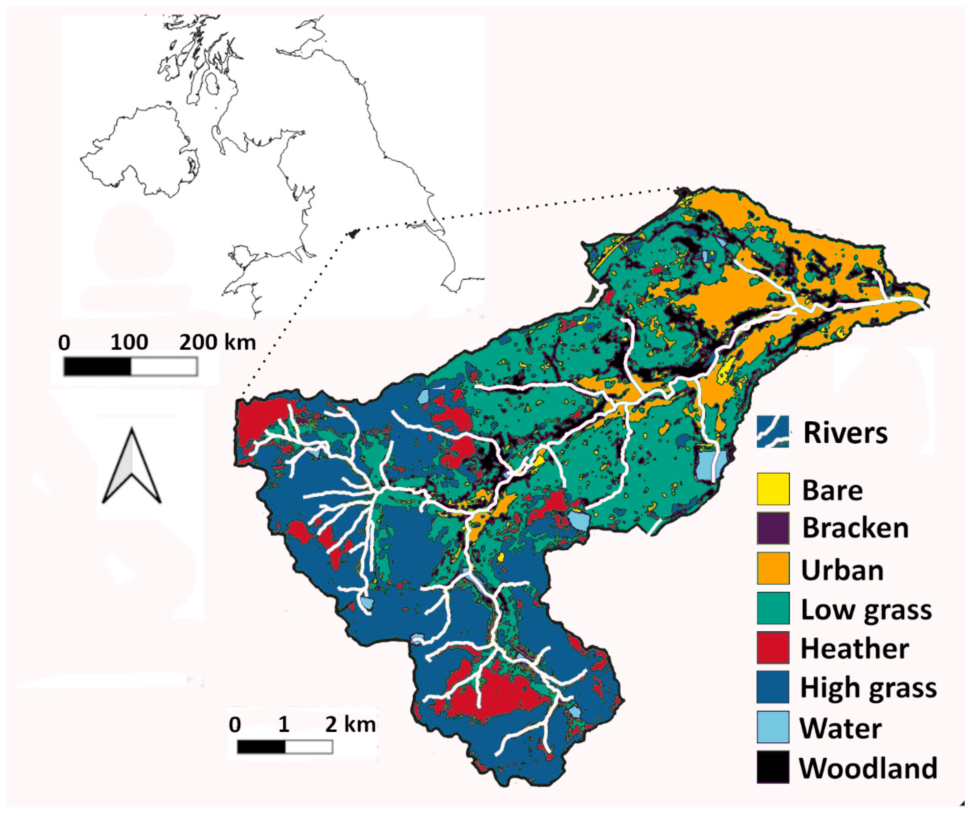 Forests 16 01081 g001