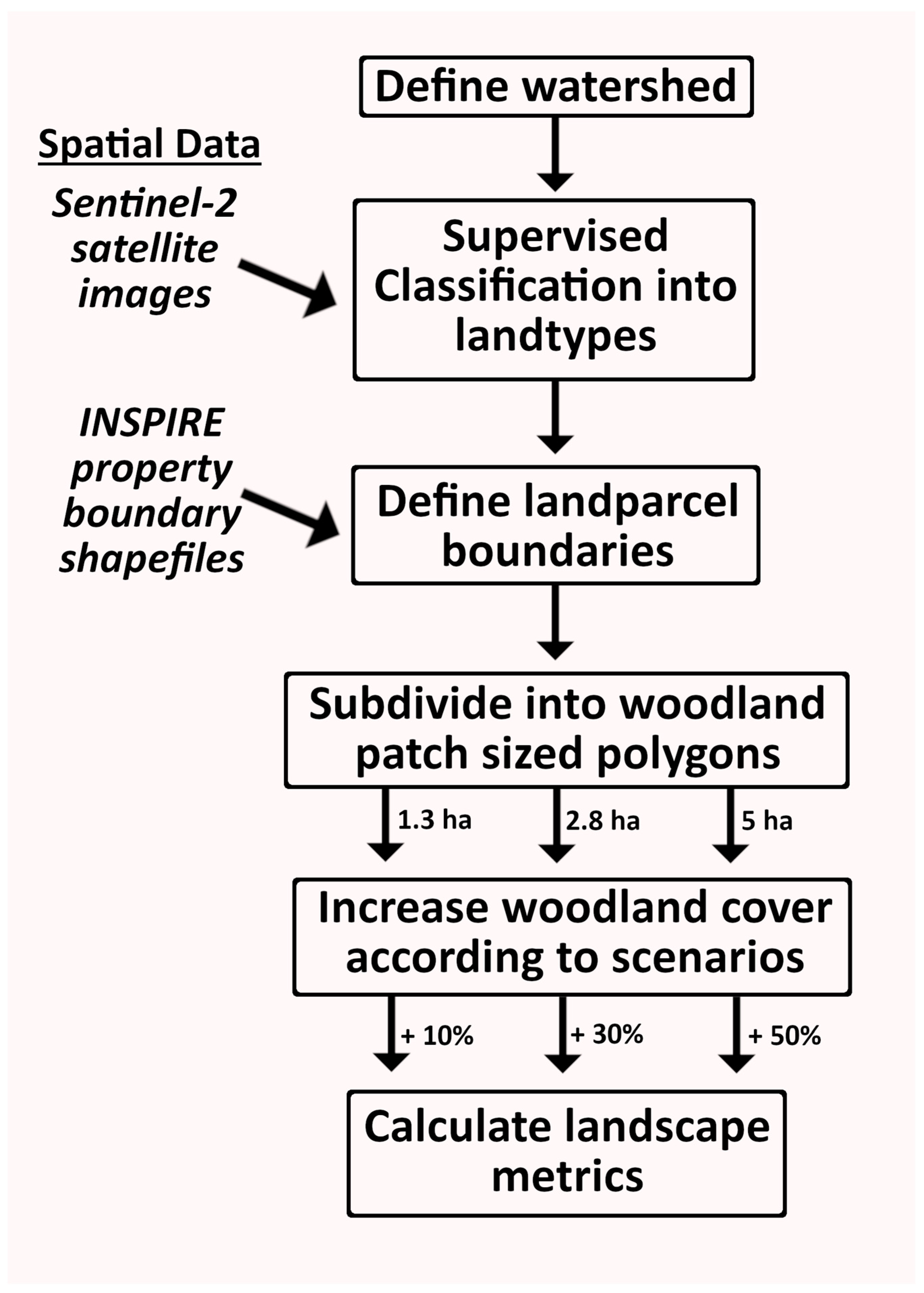 Forests 16 01081 g002