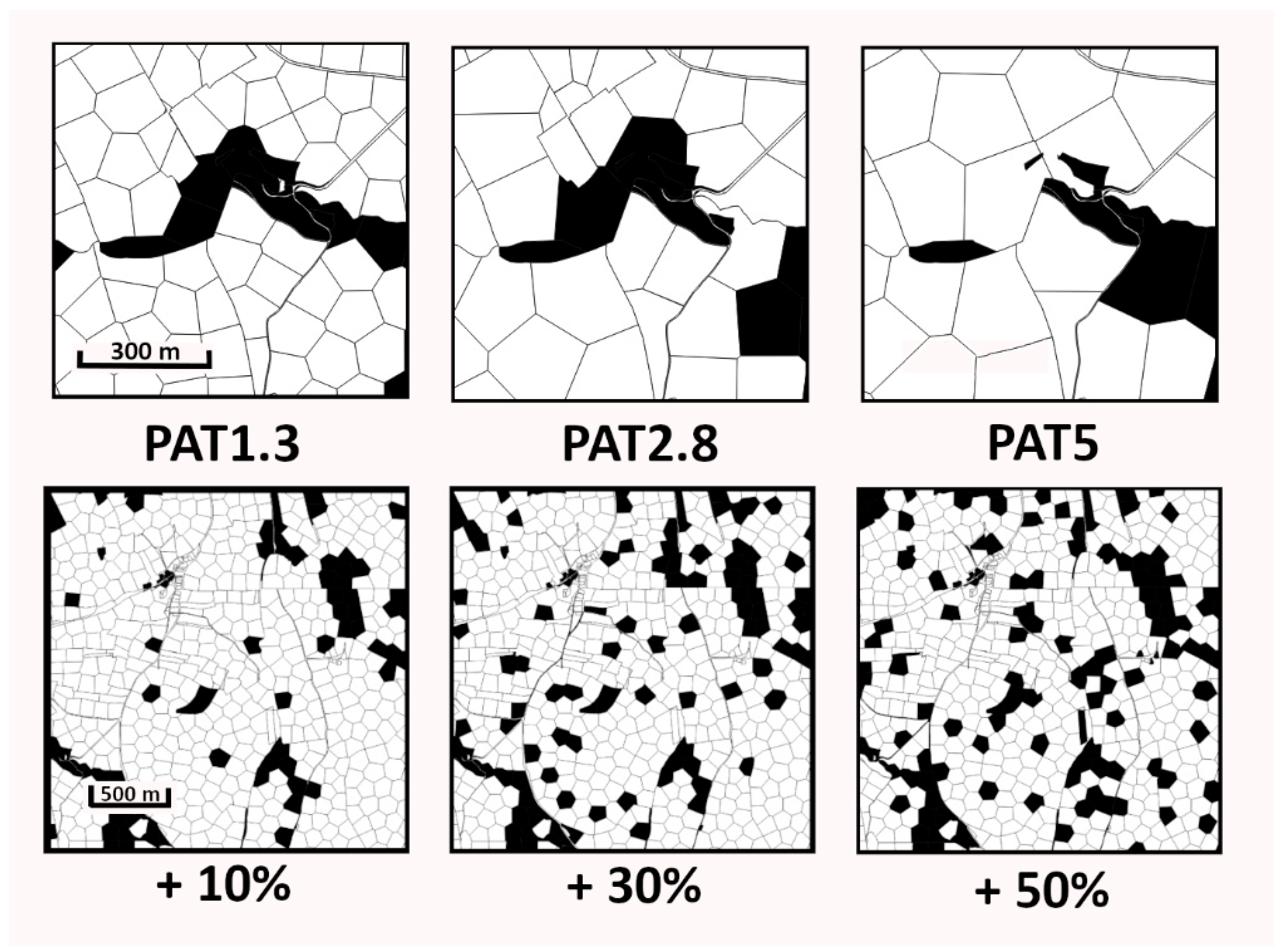 Forests 16 01081 g003