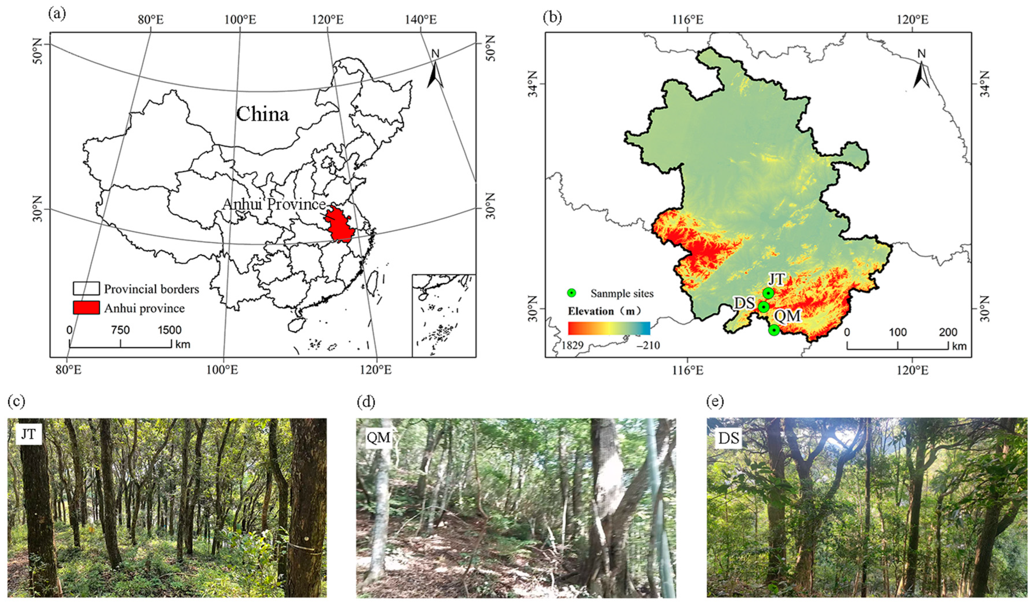 Forests 16 01082 g001