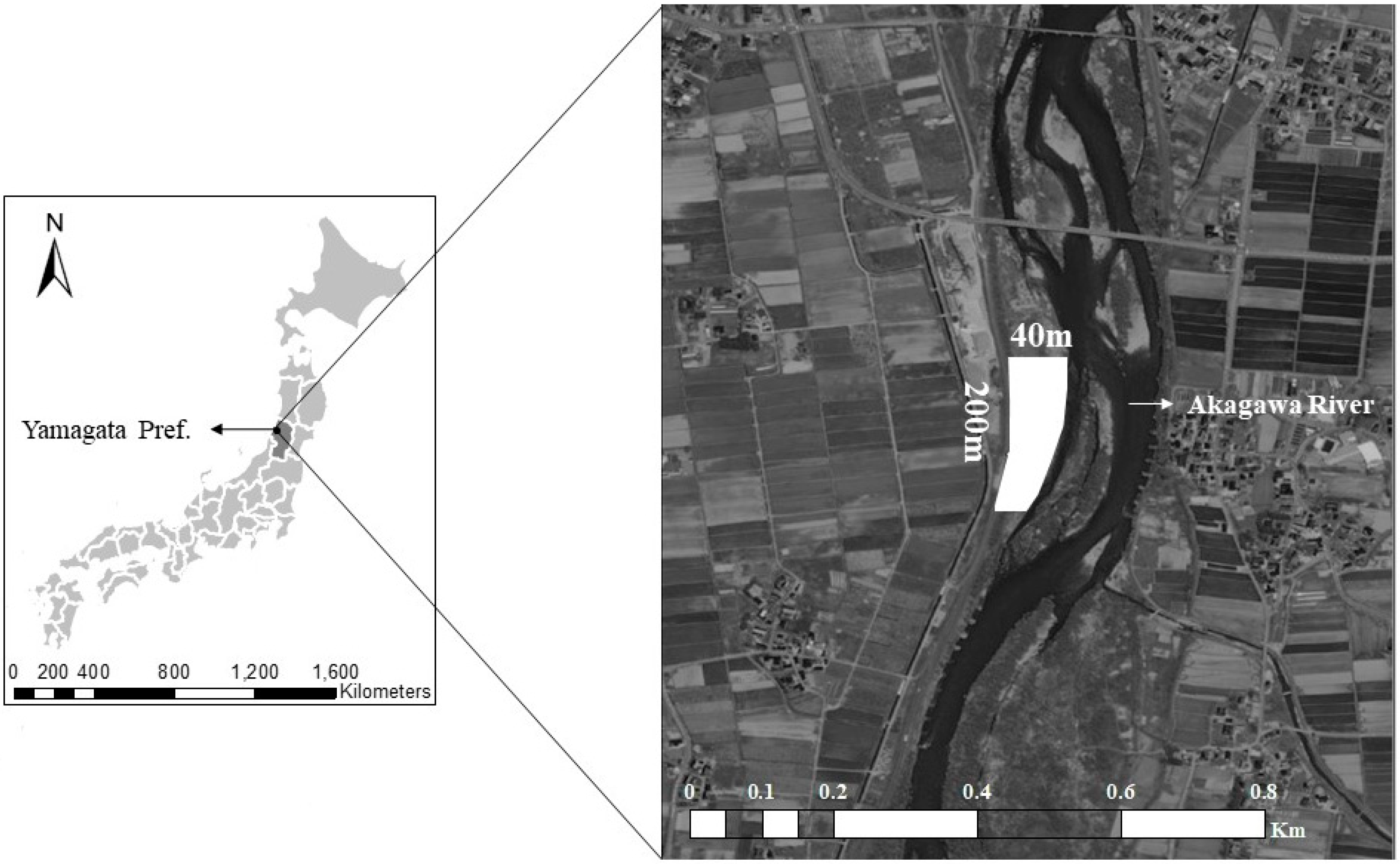 Forests 16 01084 g001