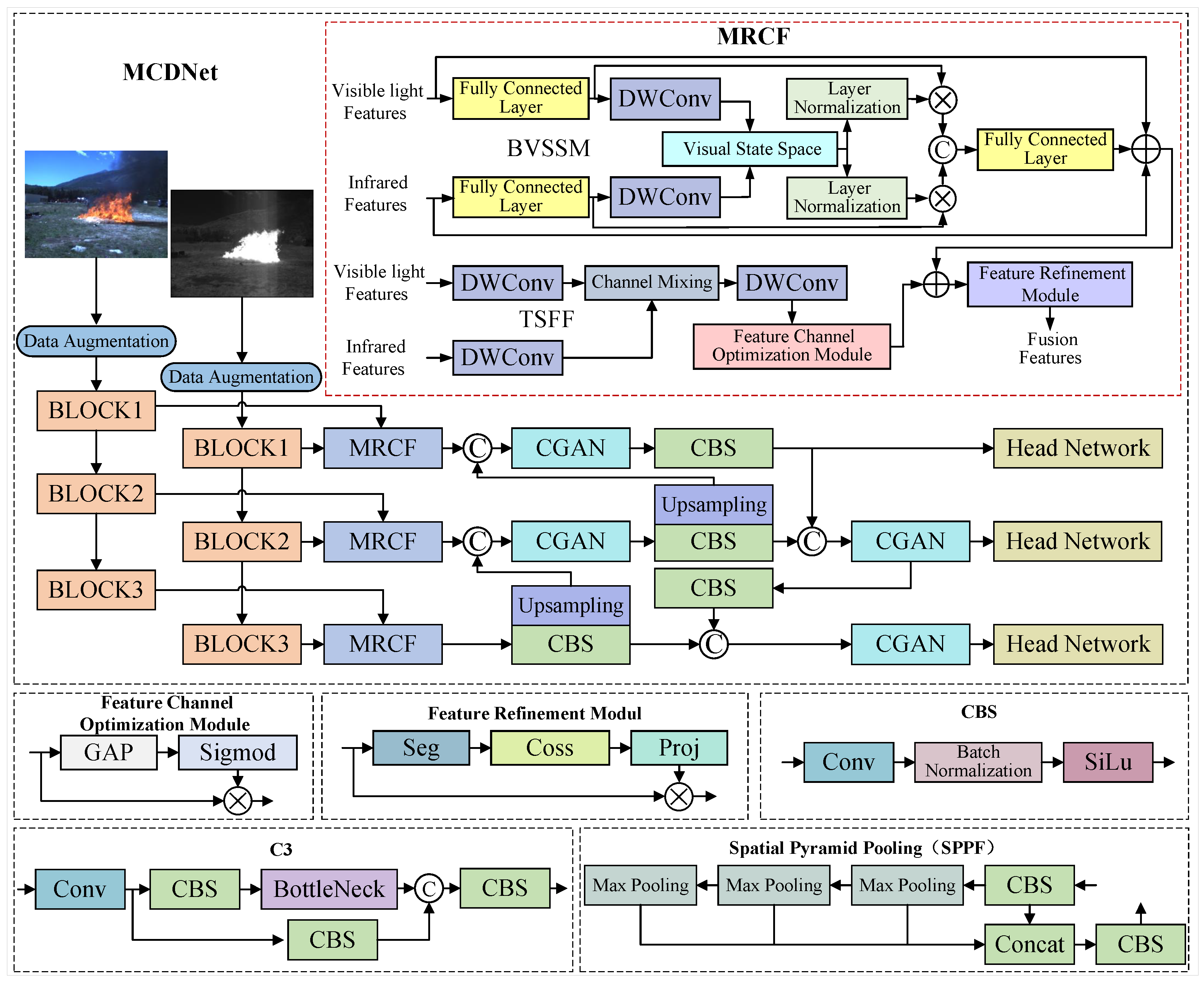 Forests 16 01088 g001
