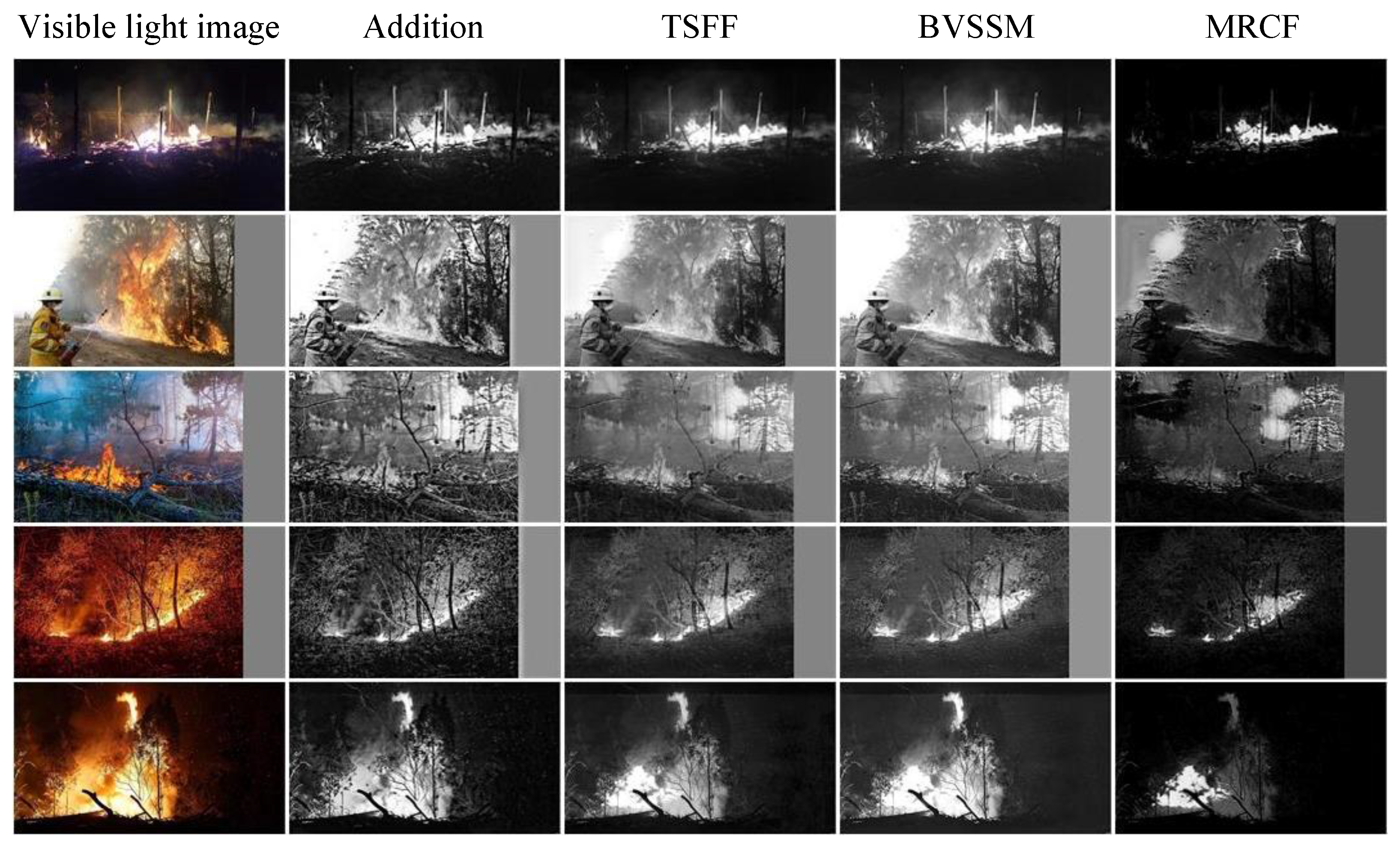 Forests 16 01088 g008