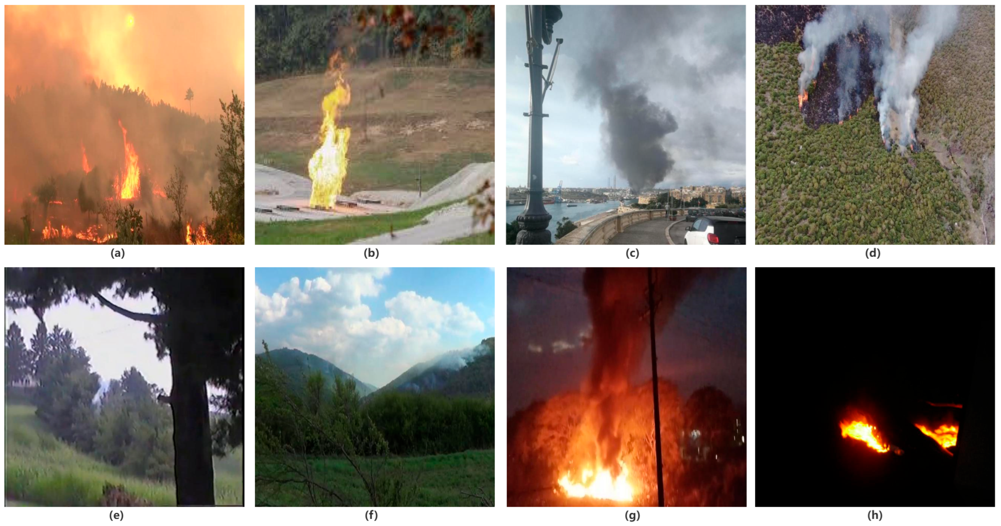 Forests 16 01095 g001