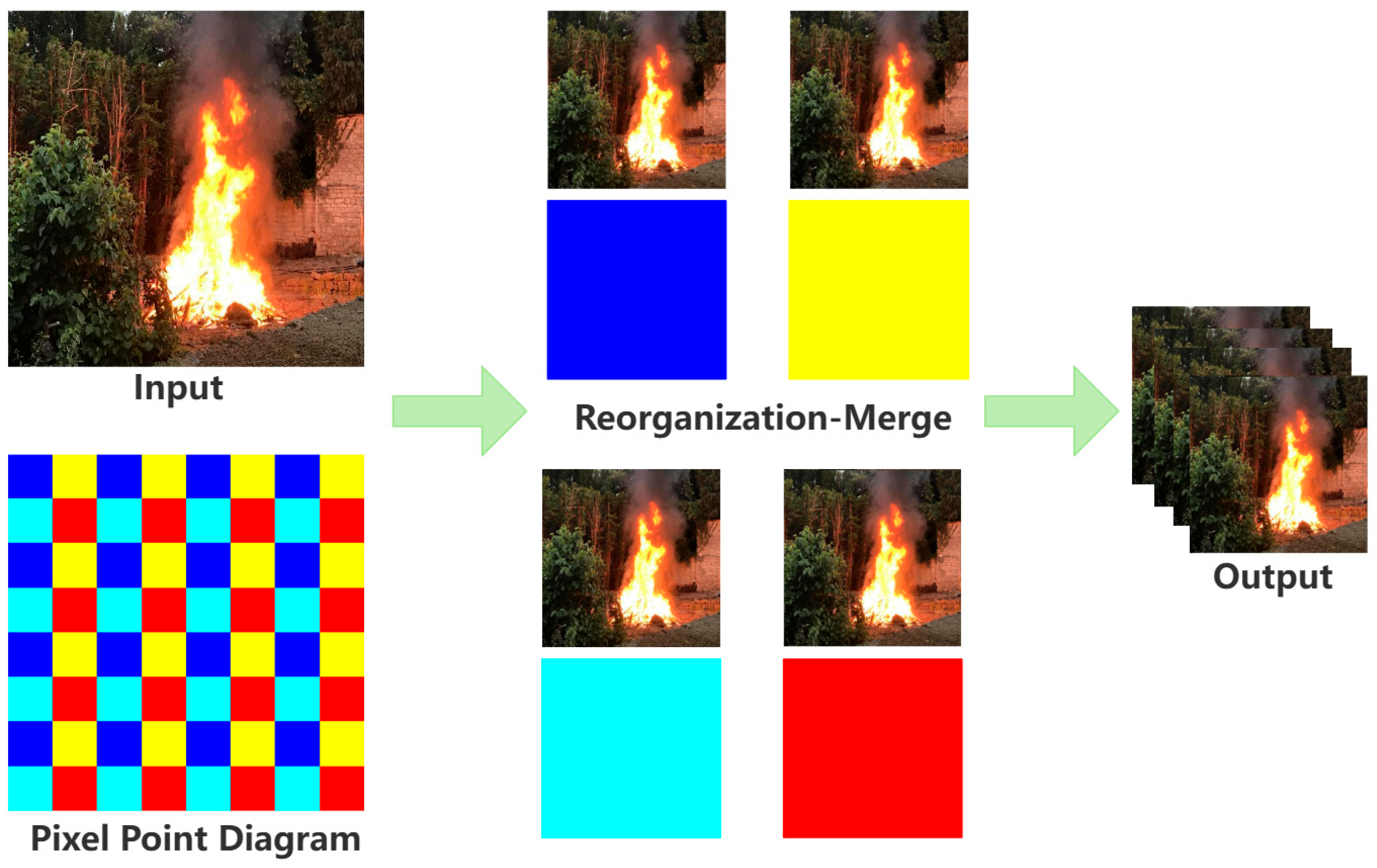Forests 16 01095 g007