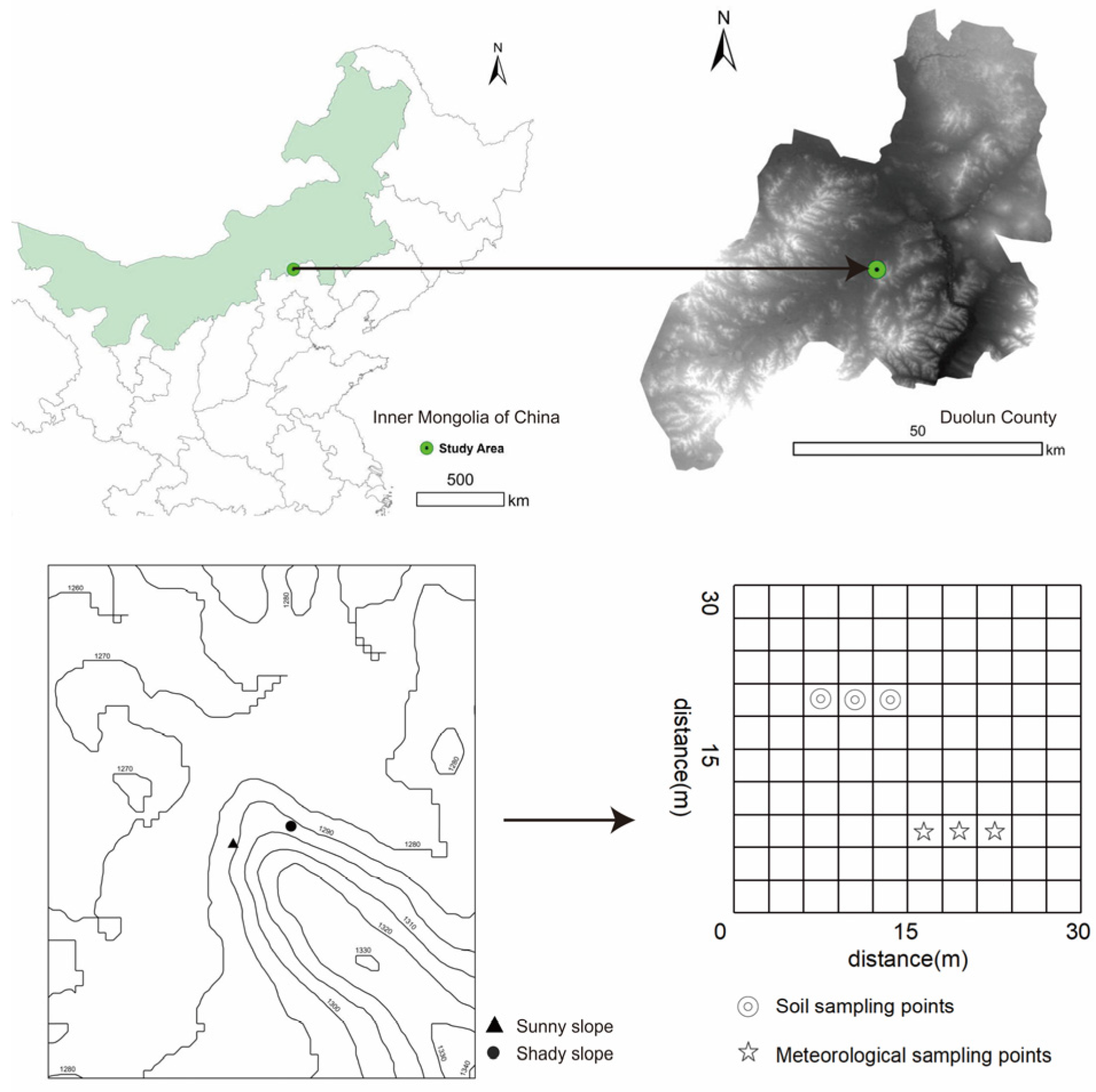 Forests 16 01100 g001