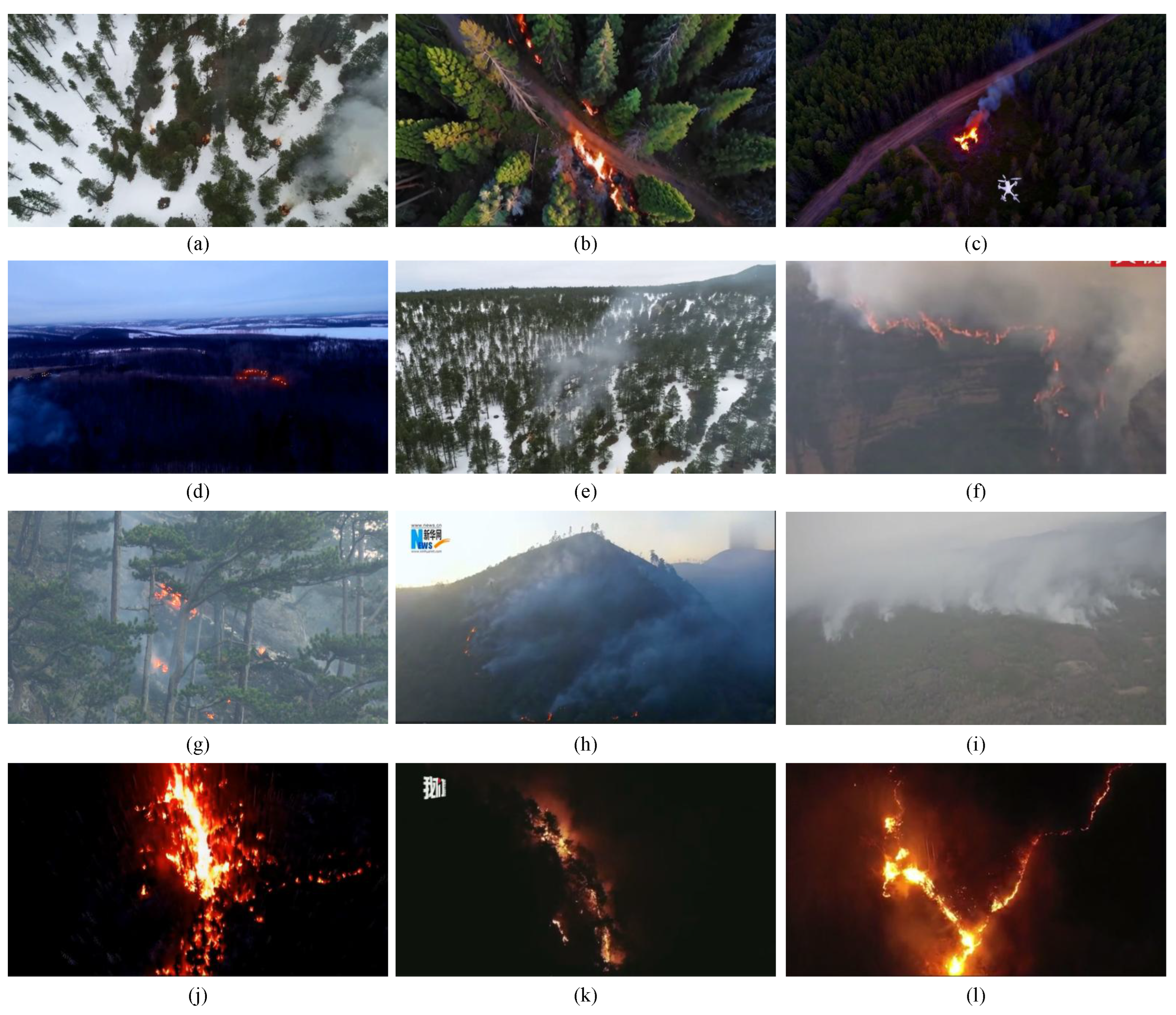 Forests 16 01101 g001