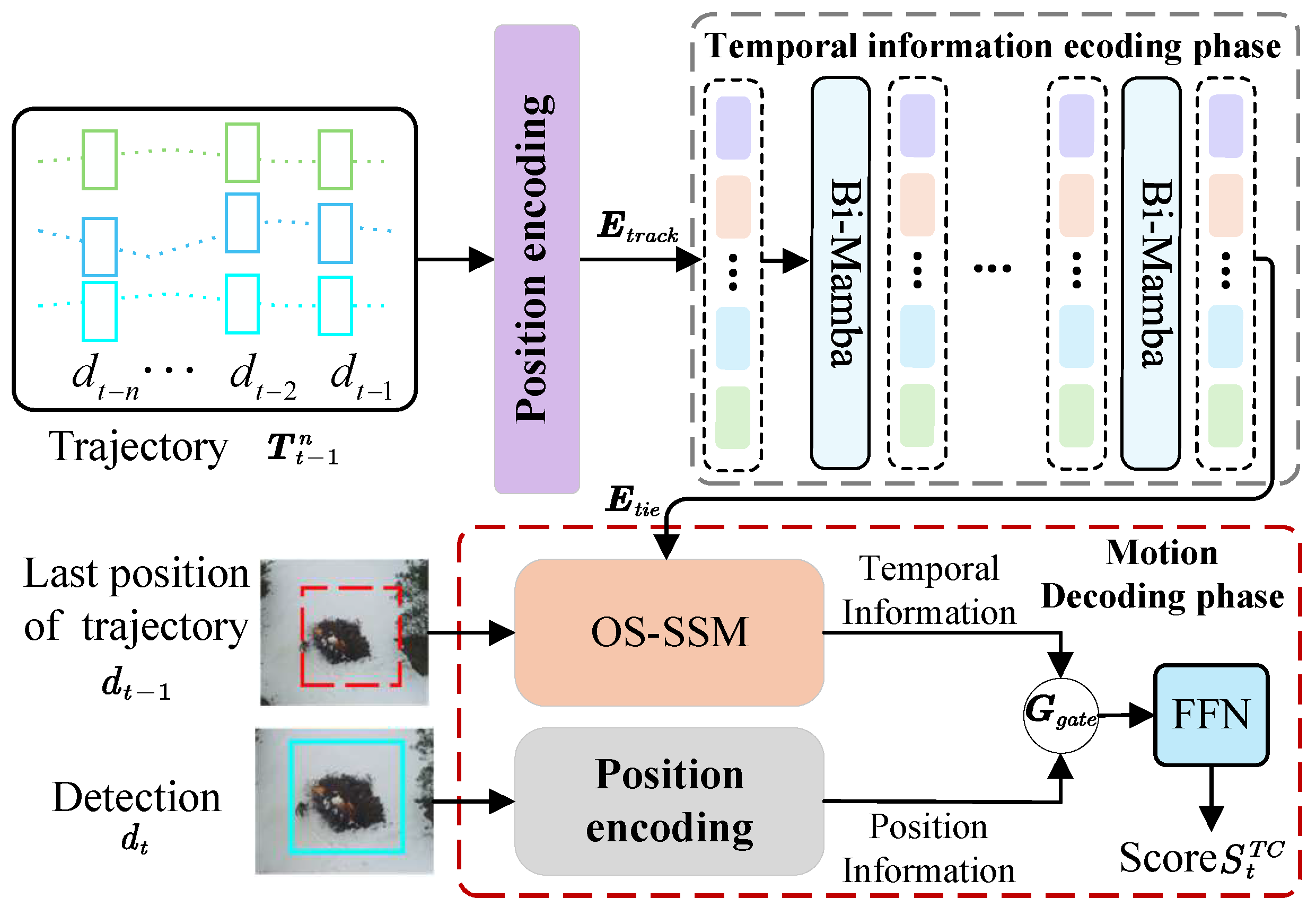 Forests 16 01101 g003
