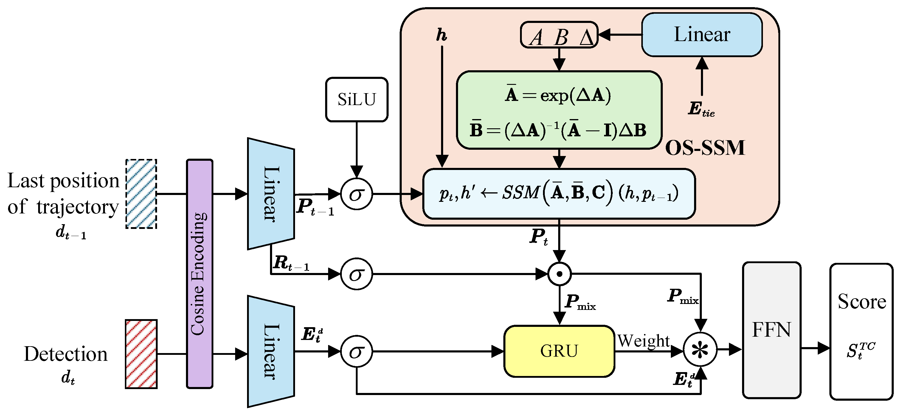 Forests 16 01101 g005
