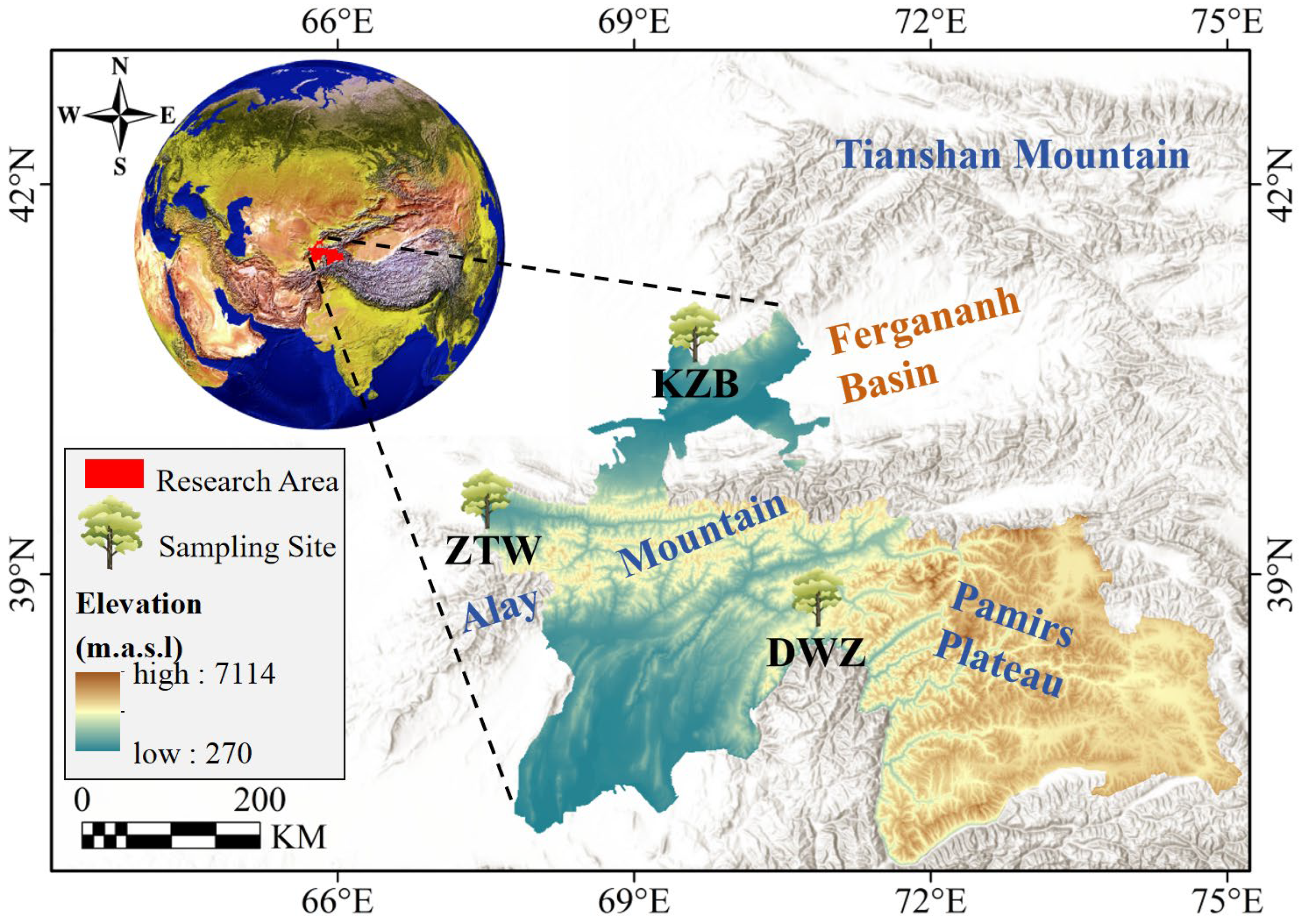 Forests 16 01107 g001