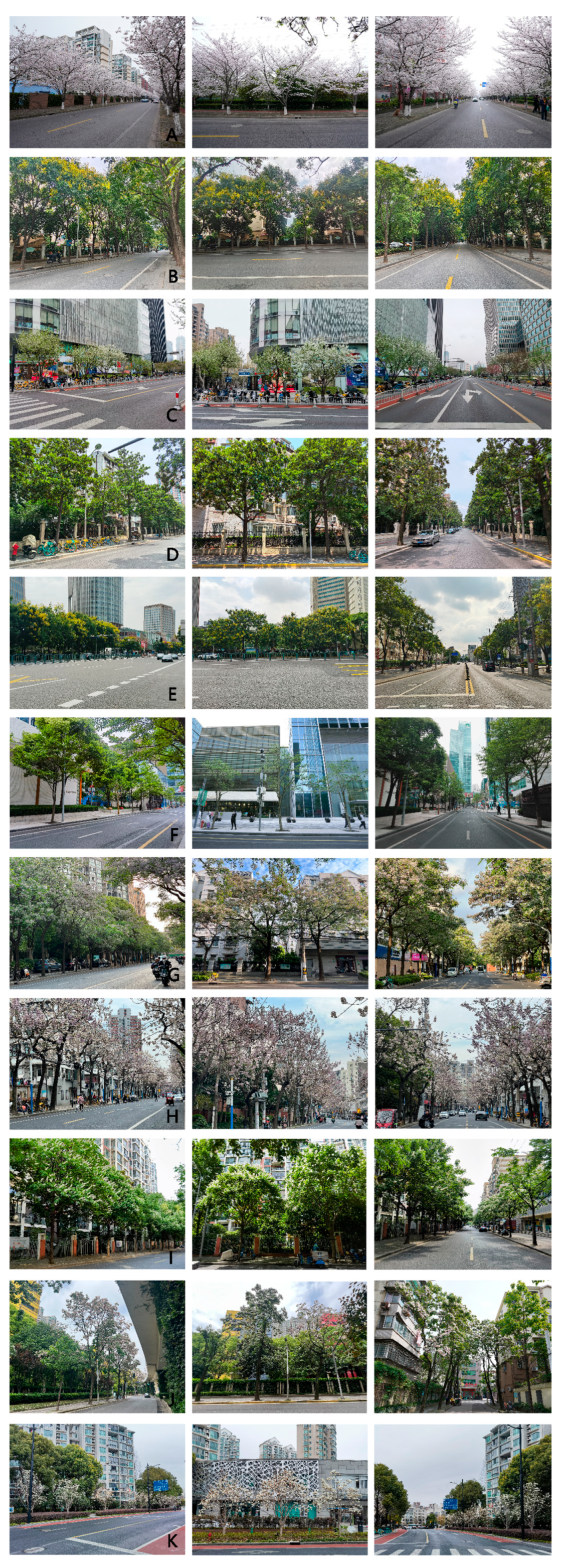 Forests 16 01116 g002