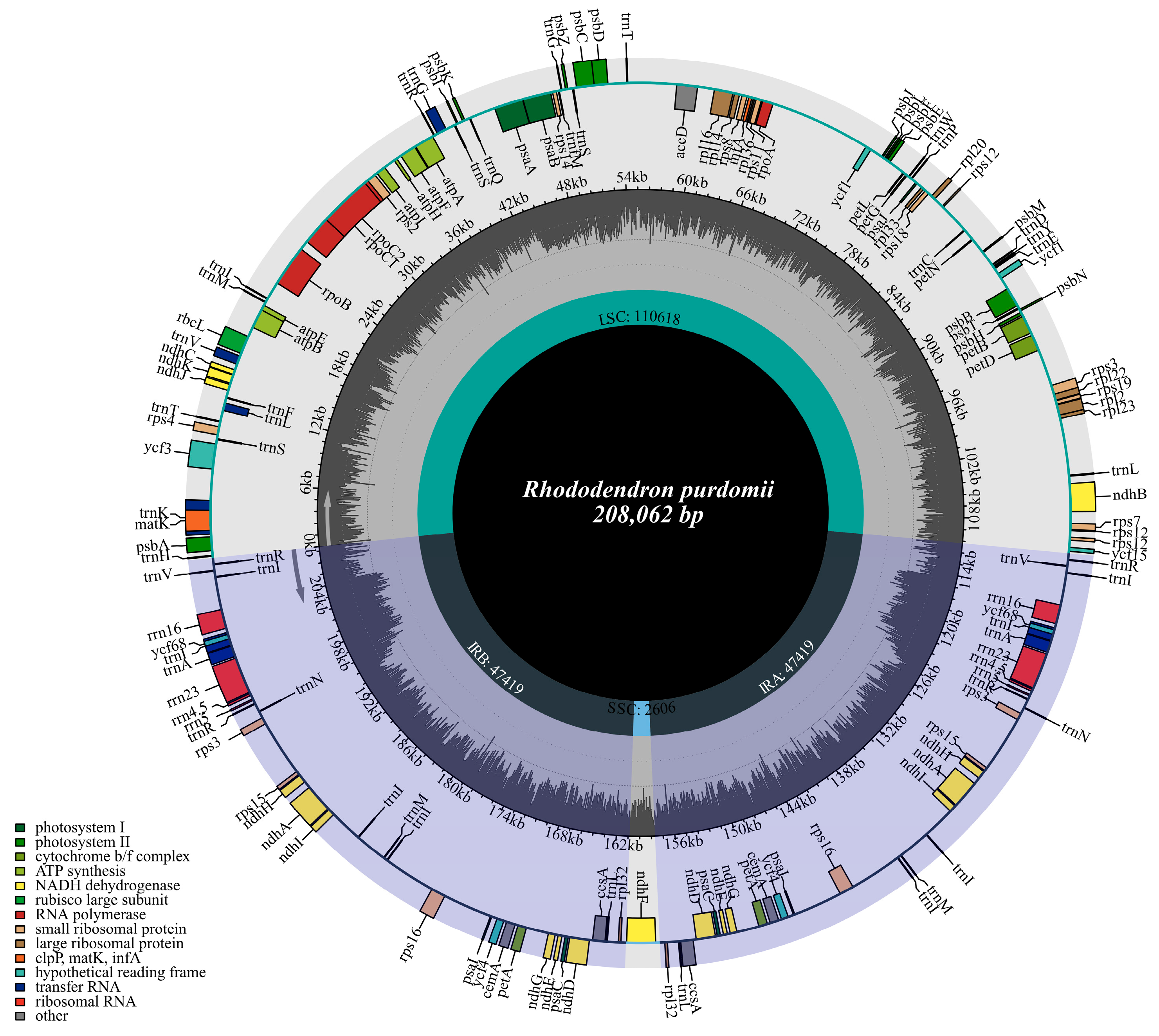 Forests 16 01120 g002