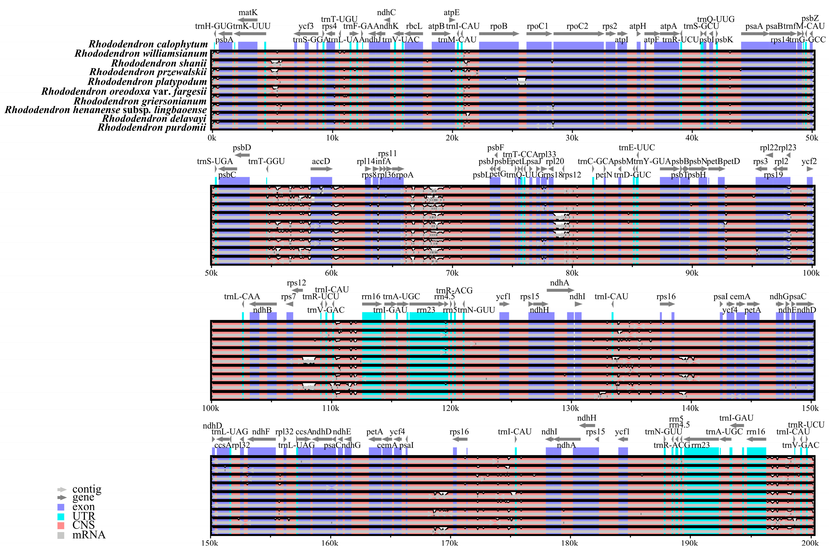 Forests 16 01120 g004