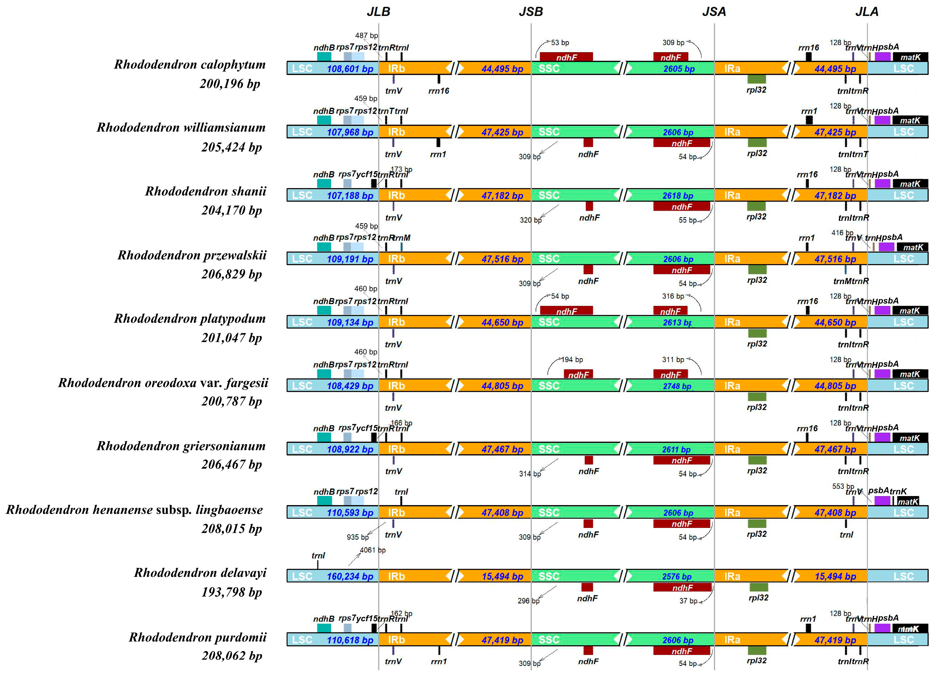 Forests 16 01120 g005