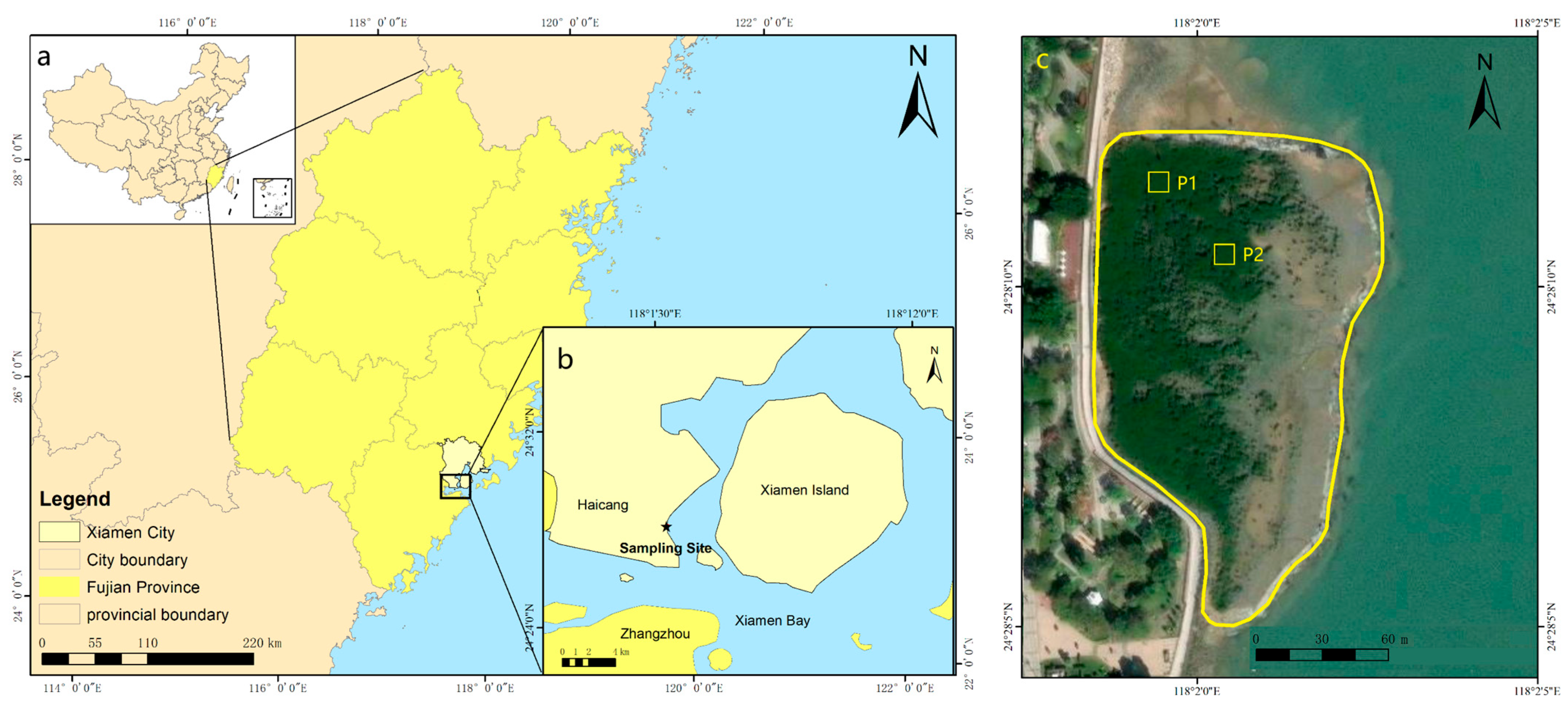 Forests 16 01126 g001
