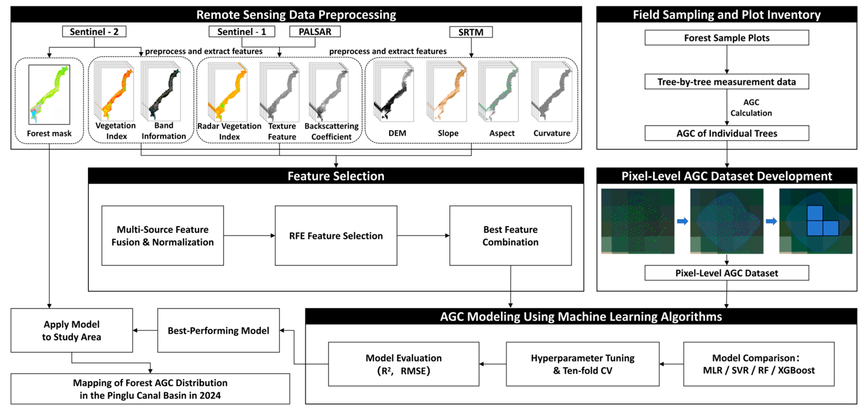 Forests 16 01130 g002