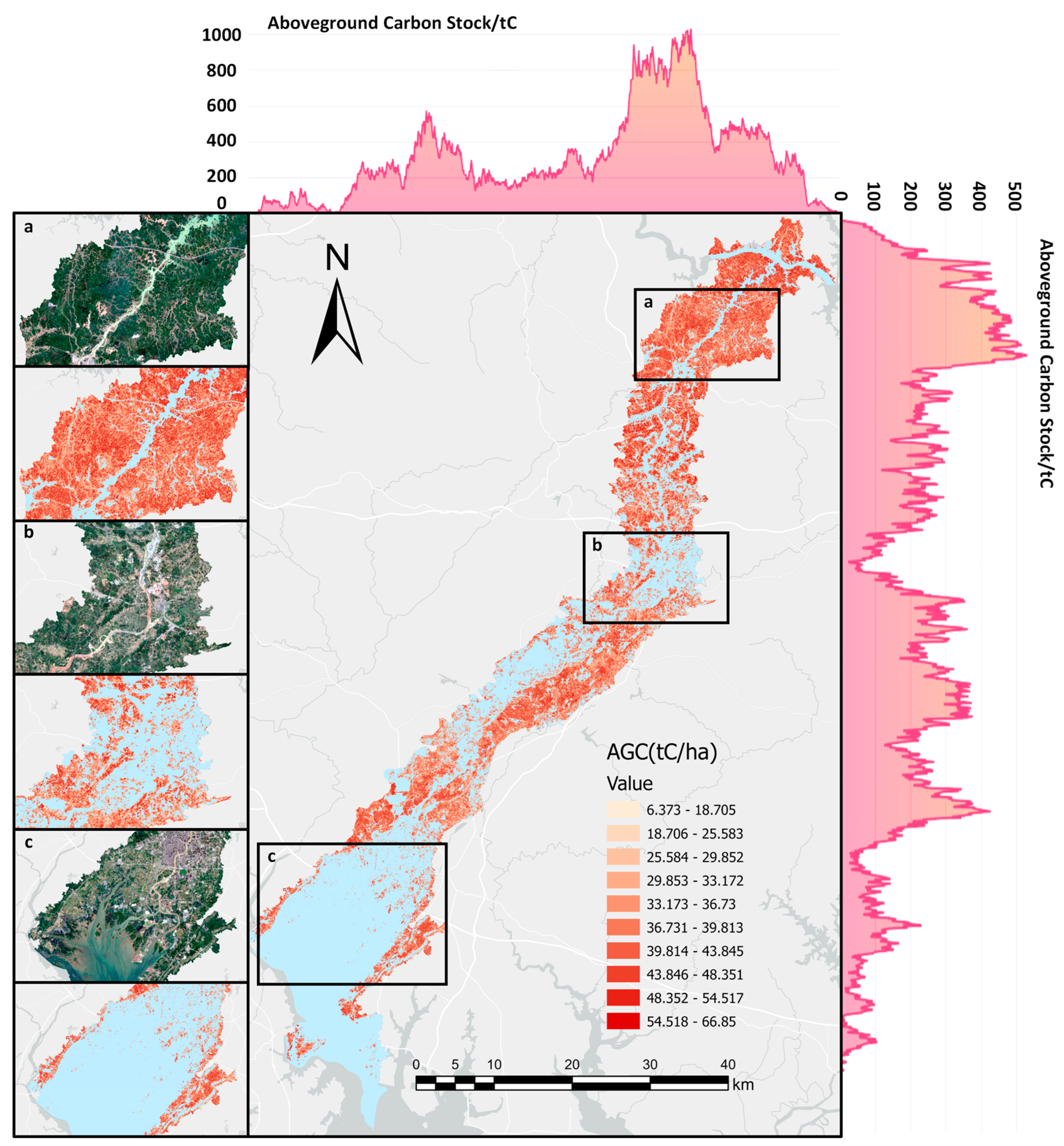 Forests 16 01130 g005